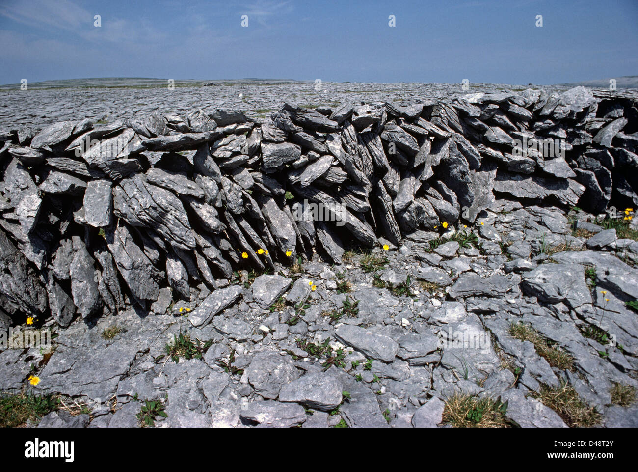 Burren Stone Walls, The Burren, Co Clare, Ireland Stock Photo Alamy