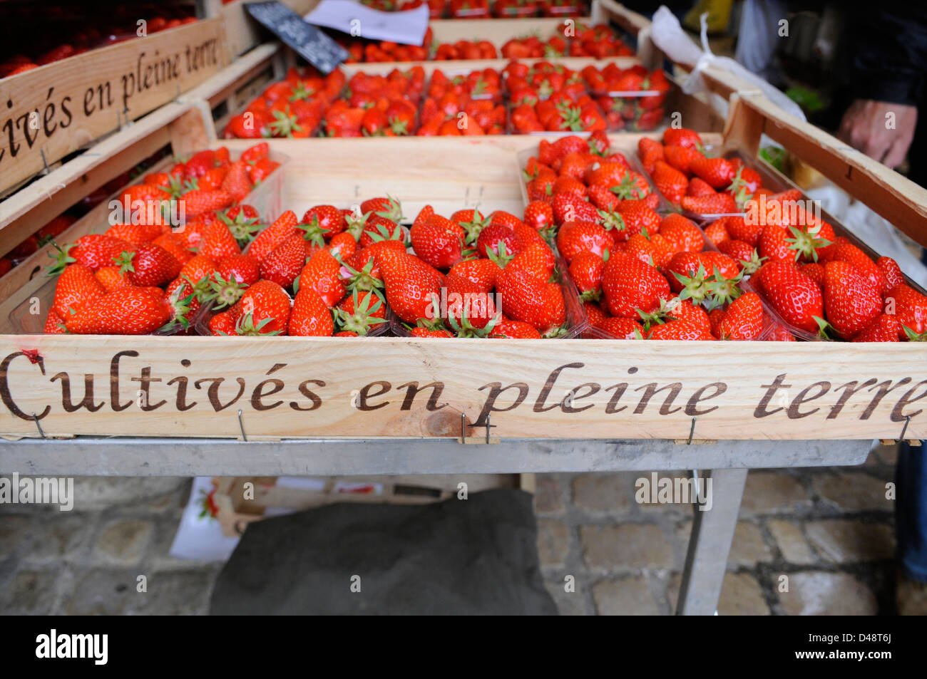Stall selling red strawberries in the market. Saint-Antonin-Noble-Val, Tarn et Garonne, France Stock Photo