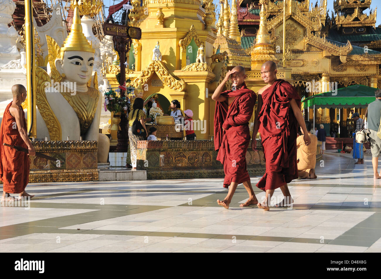 Buddhist Monks, Shwedagon Pagoda, Yangon, Myanmar, Asia Stock Photo