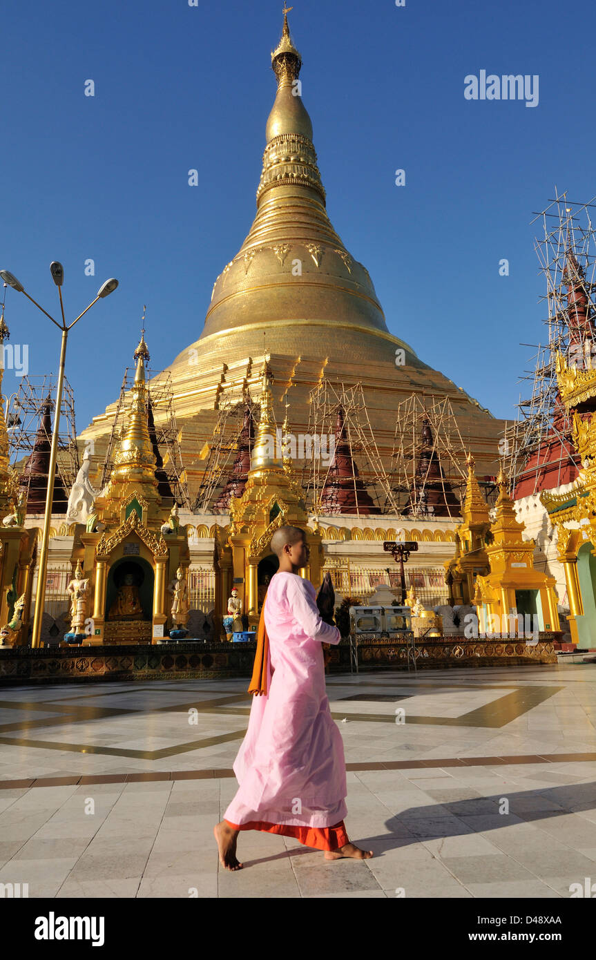 Buddhist Nun in front of Shwedagon Pagoda, Yangon, Myanmar, Asia Stock Photo