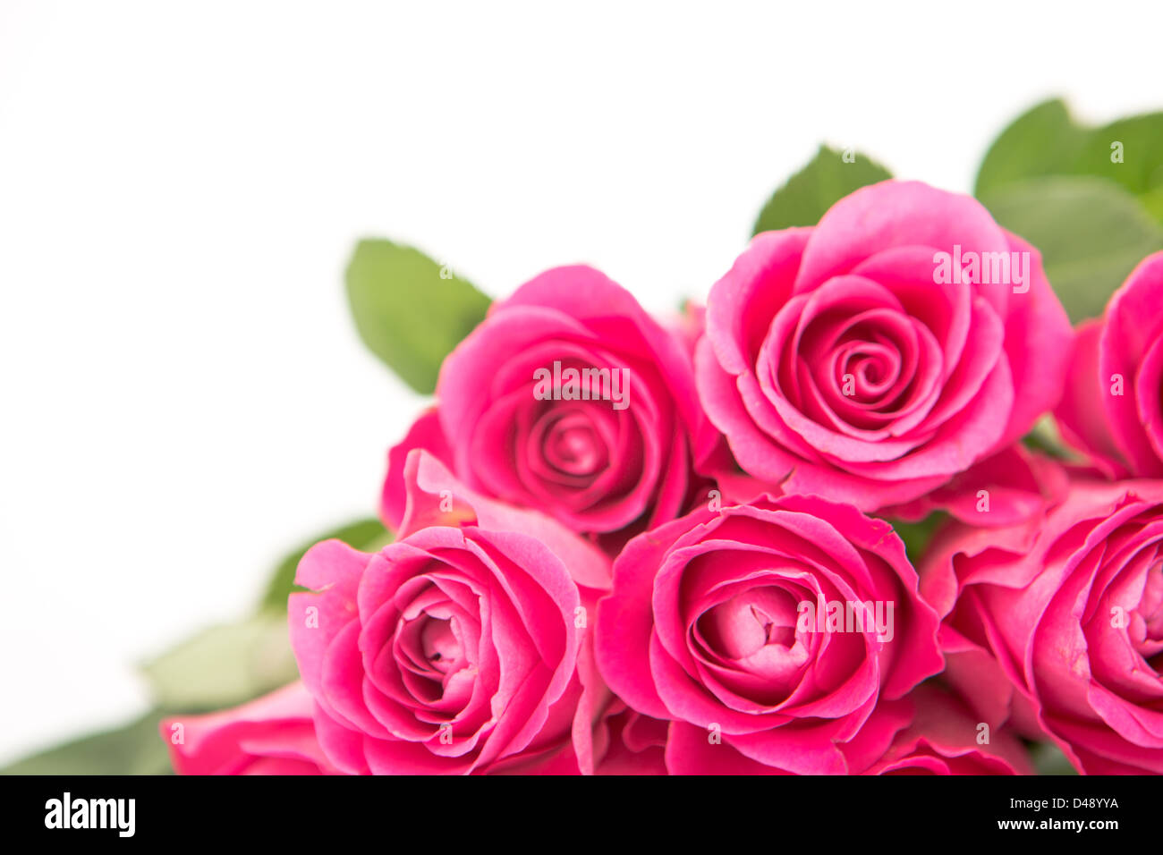 Bouquet beautiful rose close hi-res stock photography and images - Alamy