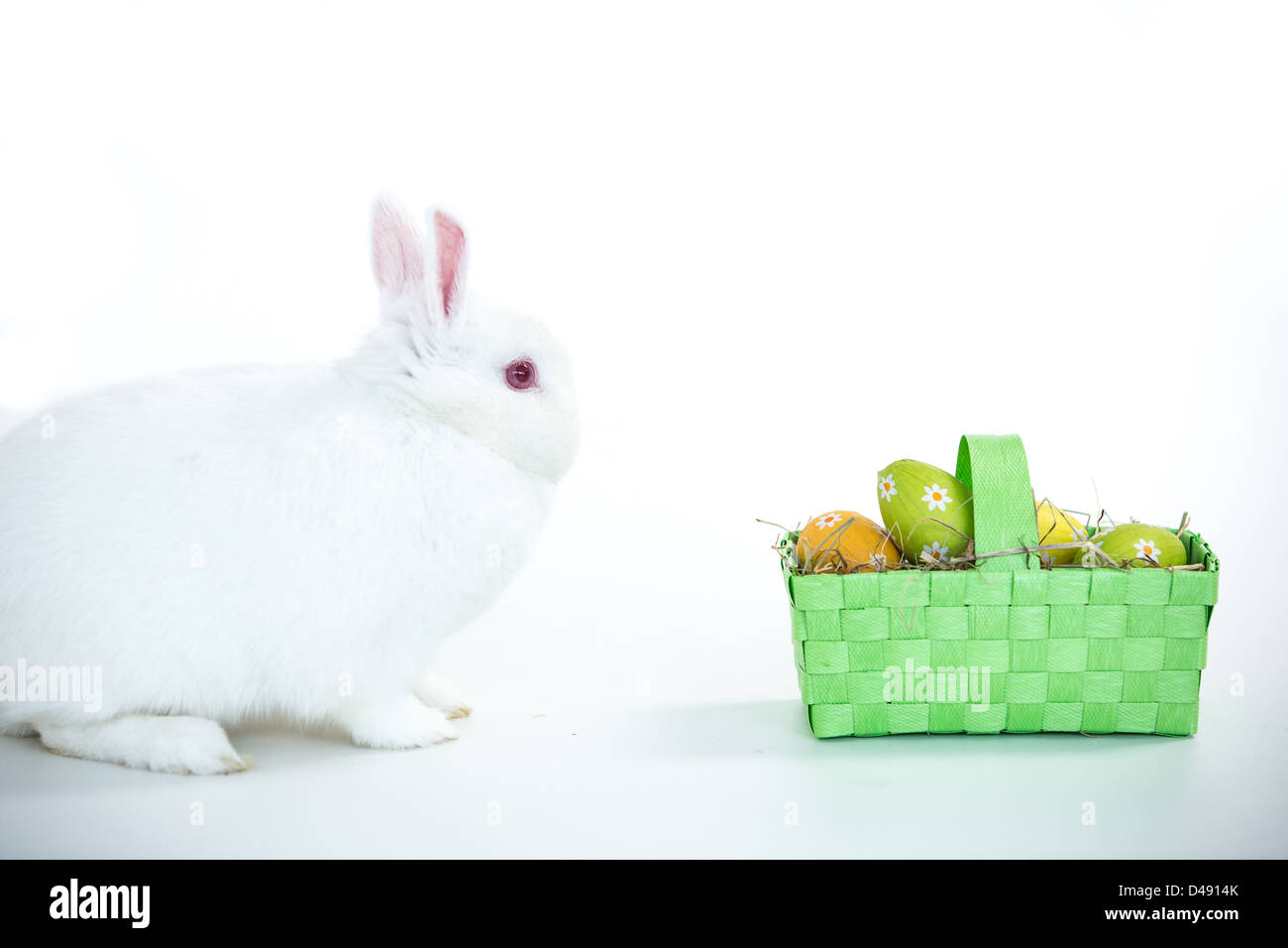 White bunny facing basket of easter eggs Stock Photo - Alamy