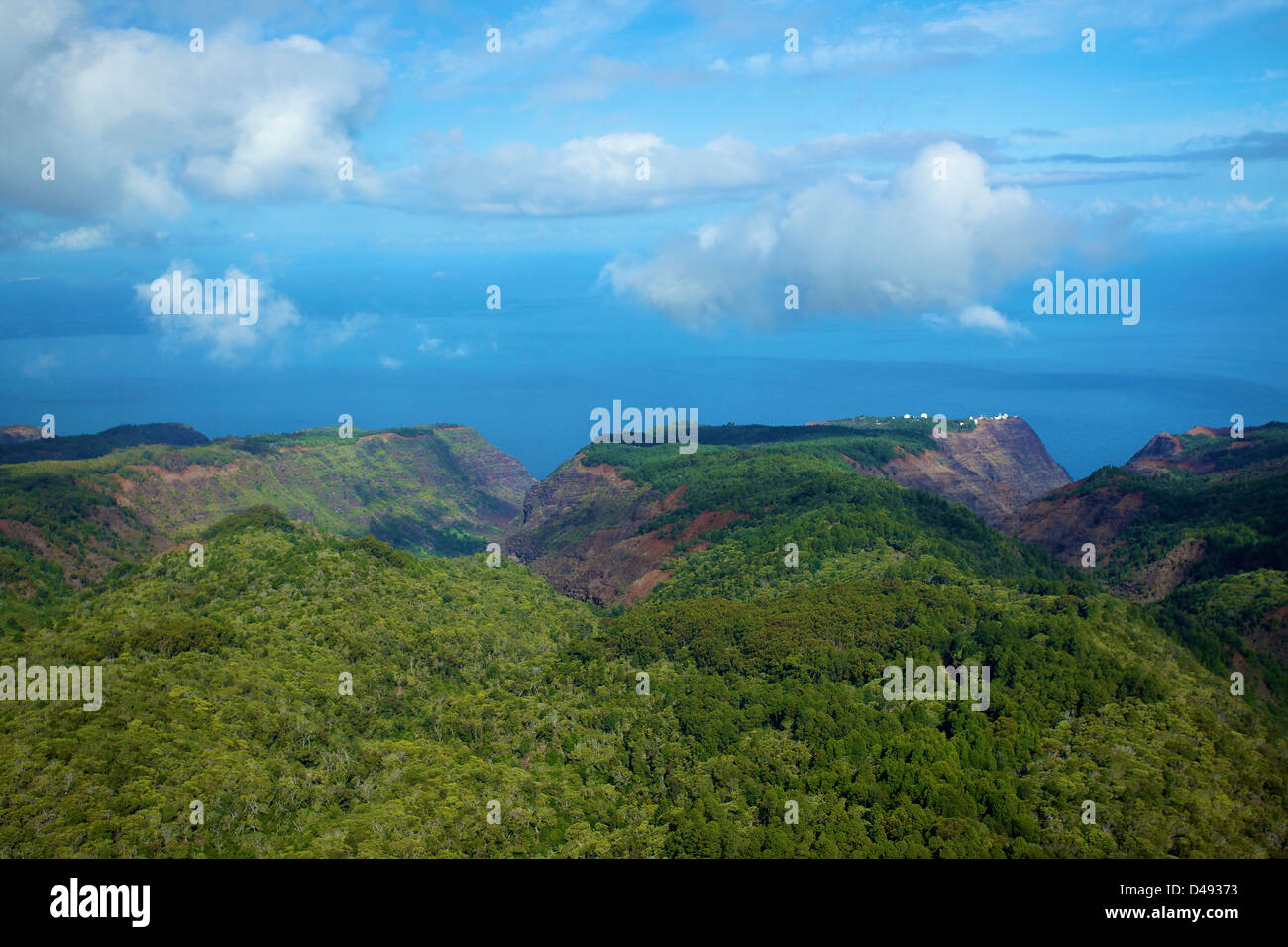 Lush trees mountains under hi-res stock photography and images - Alamy