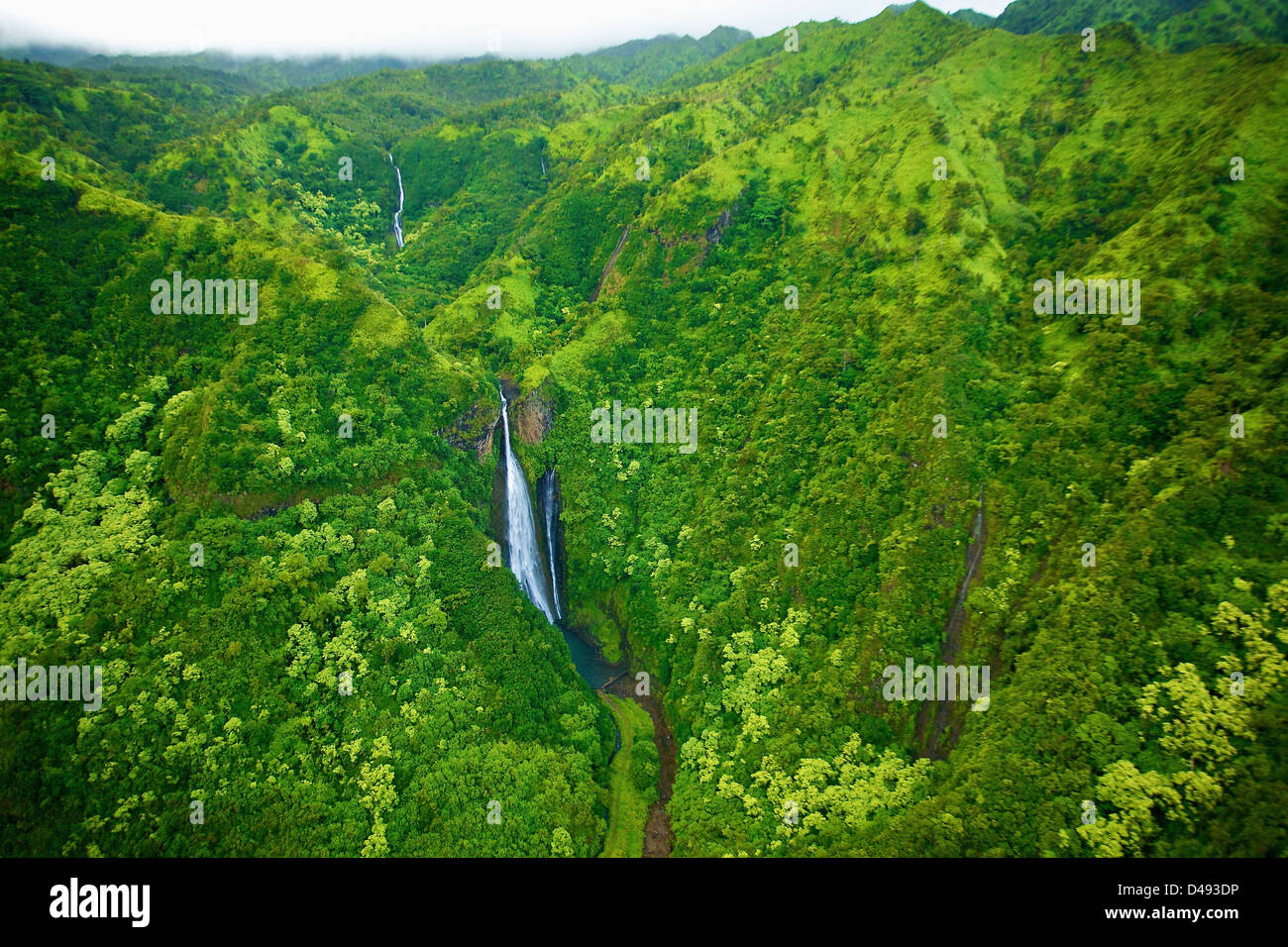 A Stream Flowing Through The Mountains Covered With Lush Green Trees