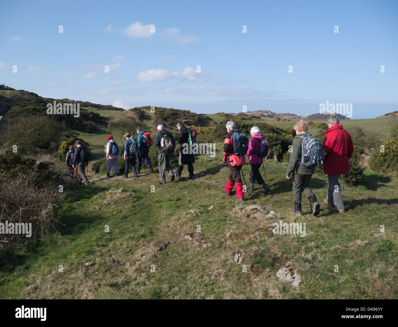 Isle of Anglesey North Wales March Group of walkers on a Ynys Mon Ramblers Group walk Stock Photo