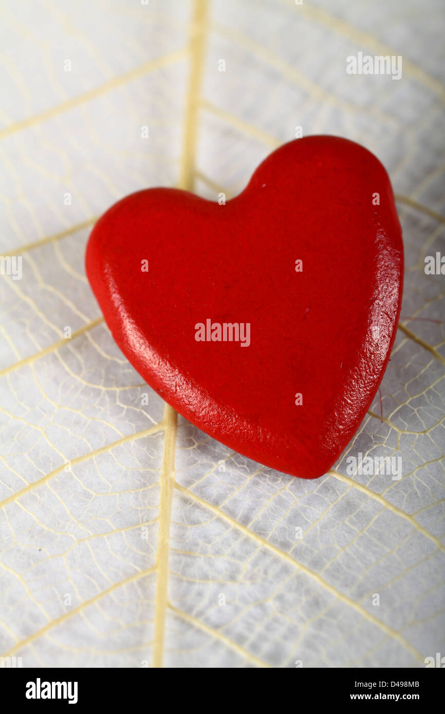 Red metal heart on skeleton leaf Stock Photo