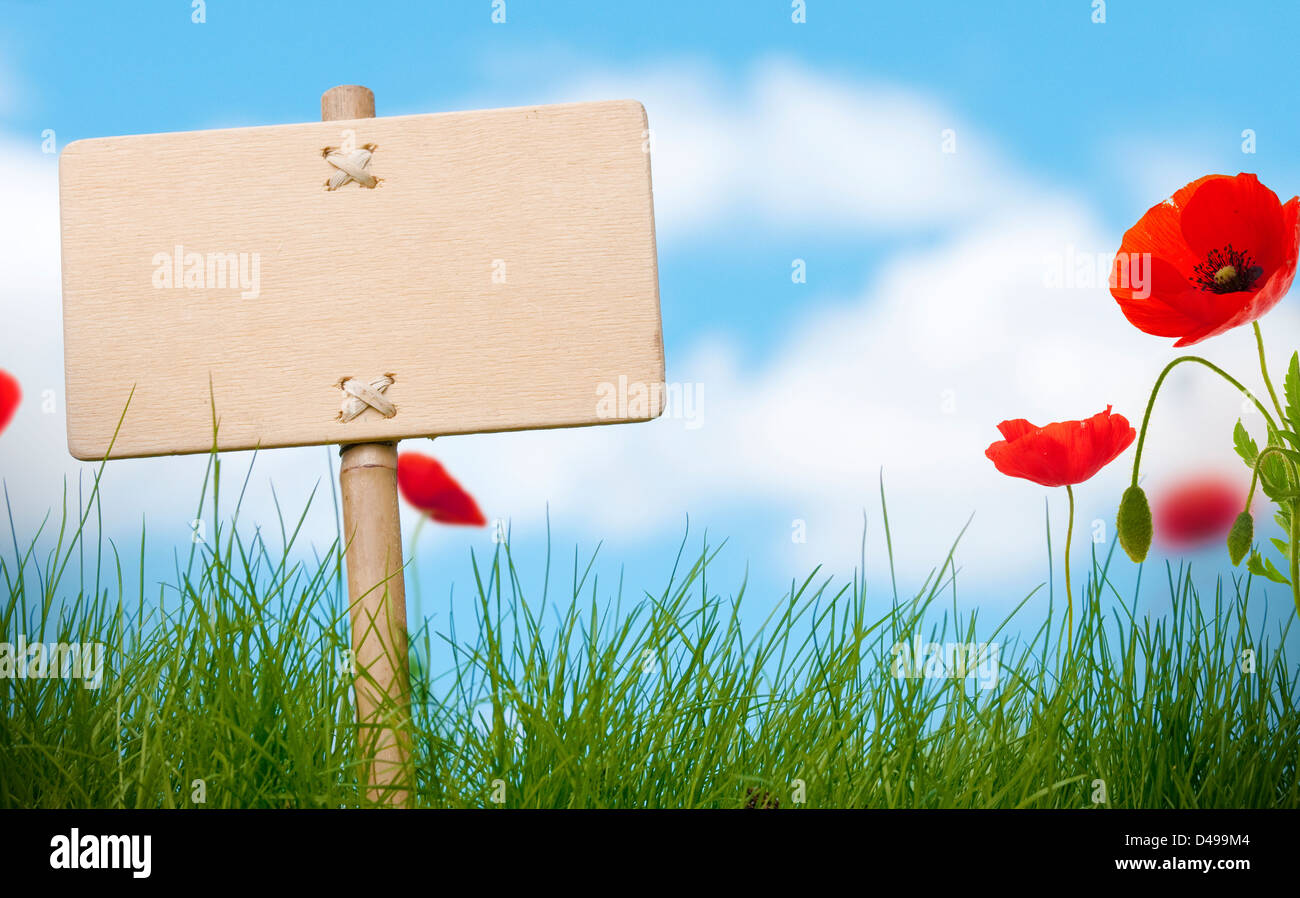 blank wooden sign and green grass with poppies flowers, blue sky and blurred clouds,room for text Stock Photo