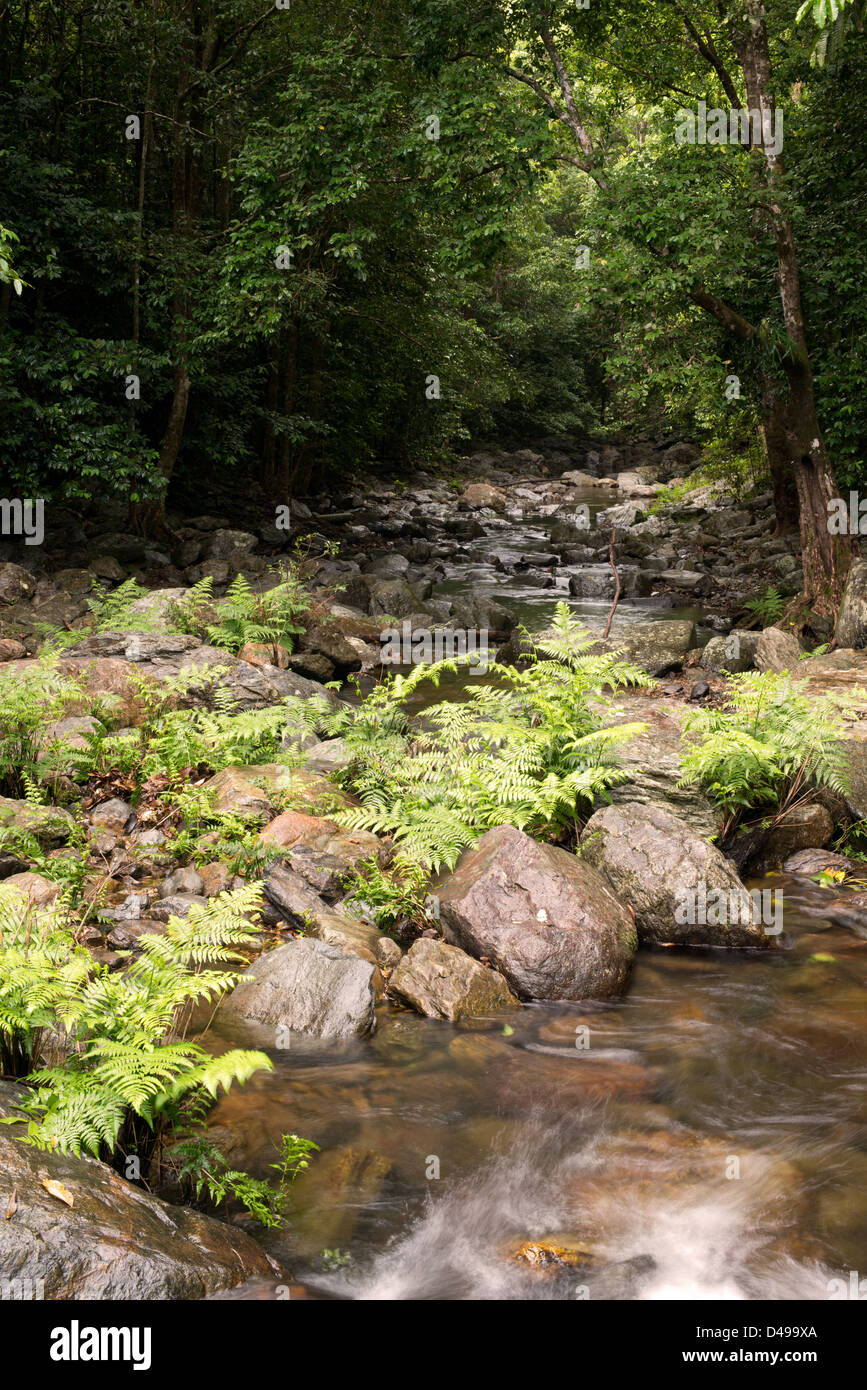 Stony Creek near Cairns, Far North Queensland, Australia Stock Photo