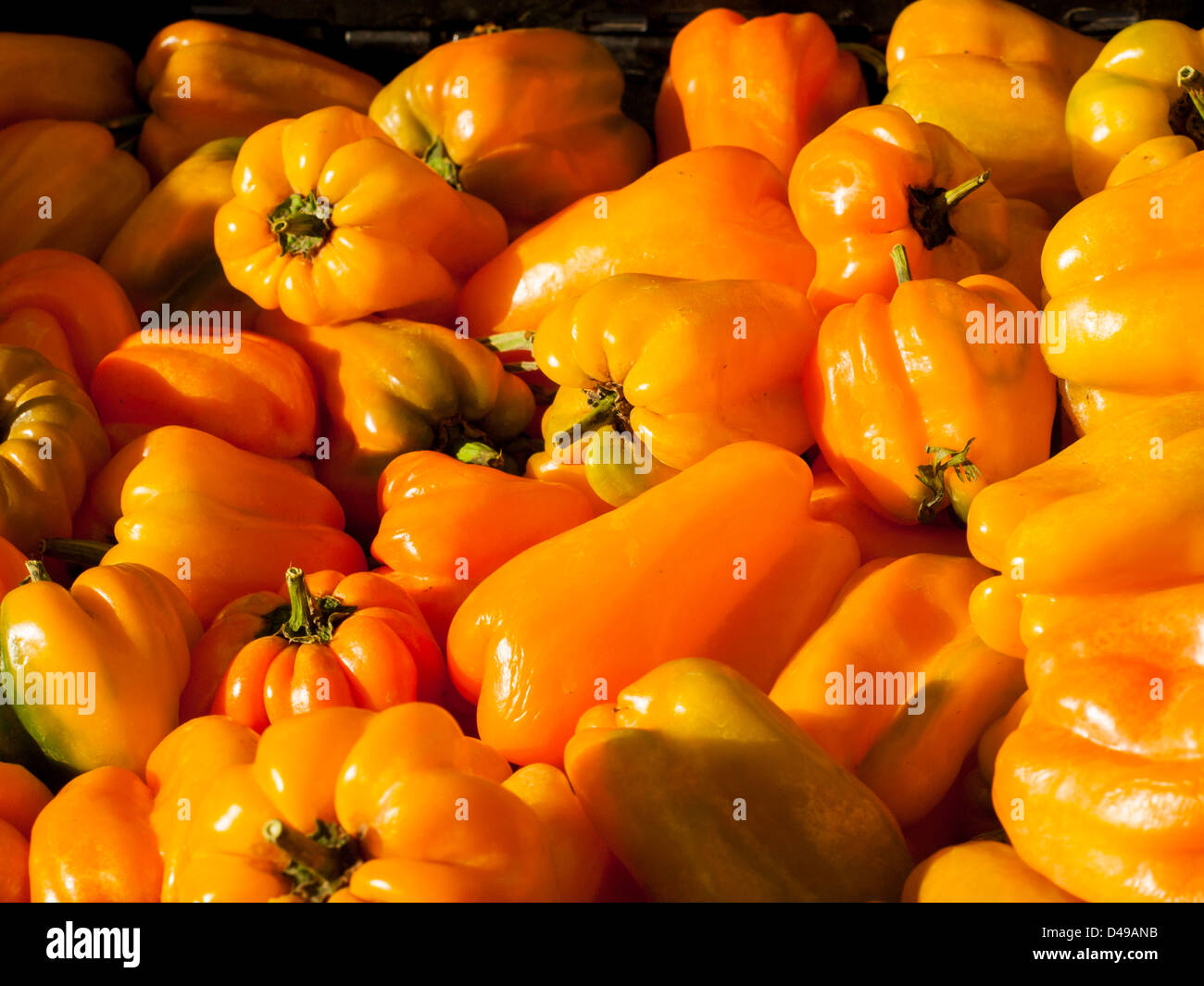 Orange bell peppers at the local farmer's market Stock Photo - Alamy