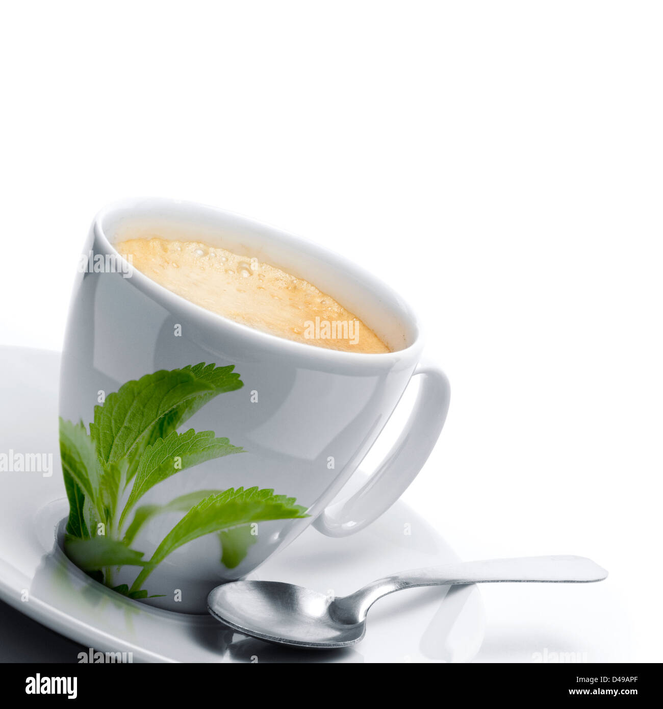 cup of coffee decorated with stevia rebaudiana leaves, plus a spoon. White background border of a page, left angle Stock Photo