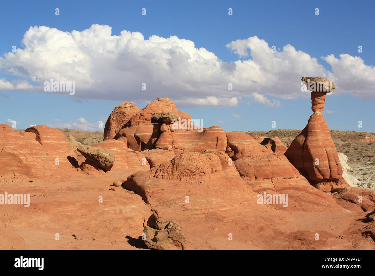 Hoodoos Slick rock,  Paria RimRocks, Utah, United States Stock Photo