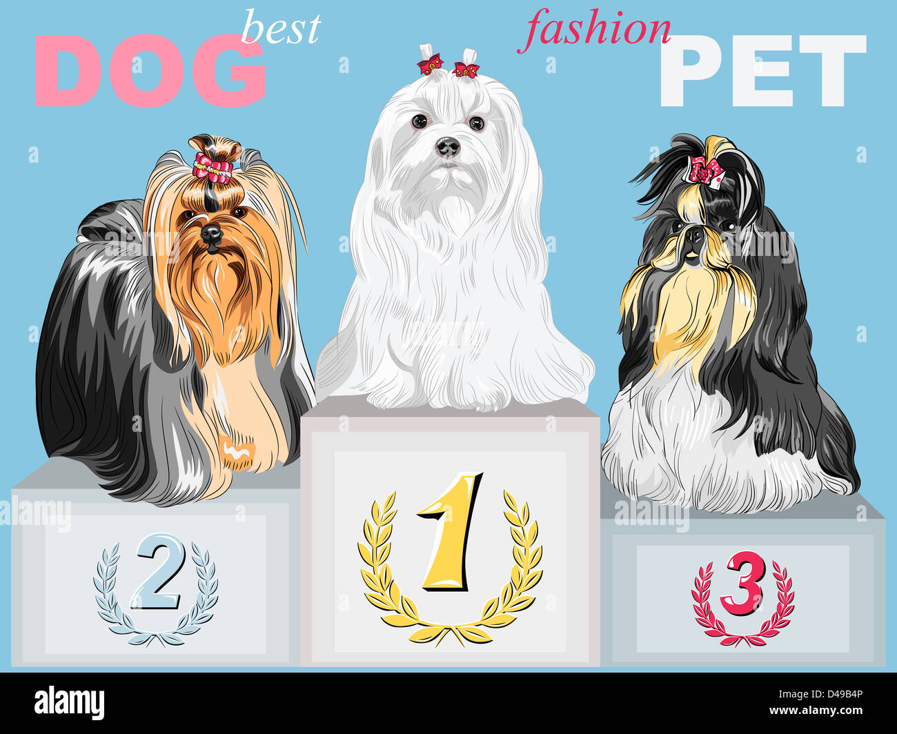 fashion Dog champion long-haired breeds with beautiful hairstyles on the podium Stock Photo