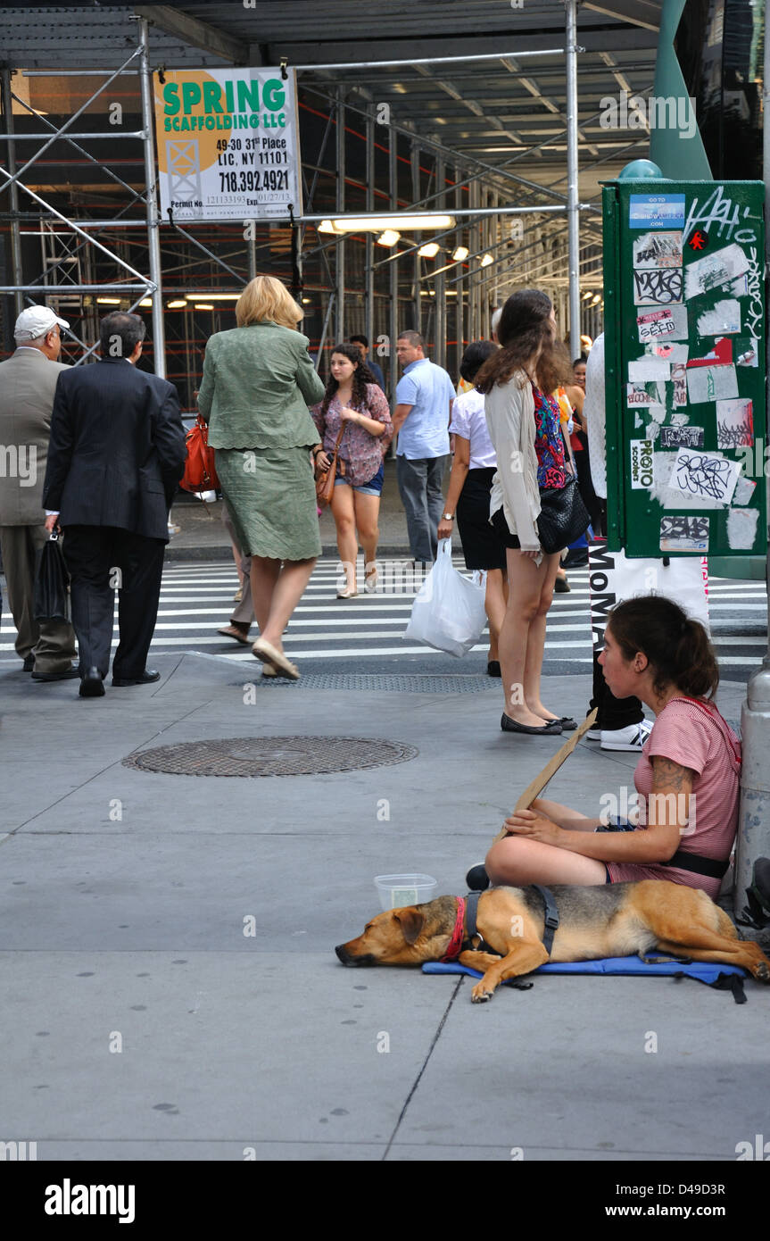 Young And Homeless In America >> Homeless Young Woman Begging For Money New York Usa Stock Photo Young And Homeless In America >> Homeless Young Woman Begging For Money New York Usa Stock Photo