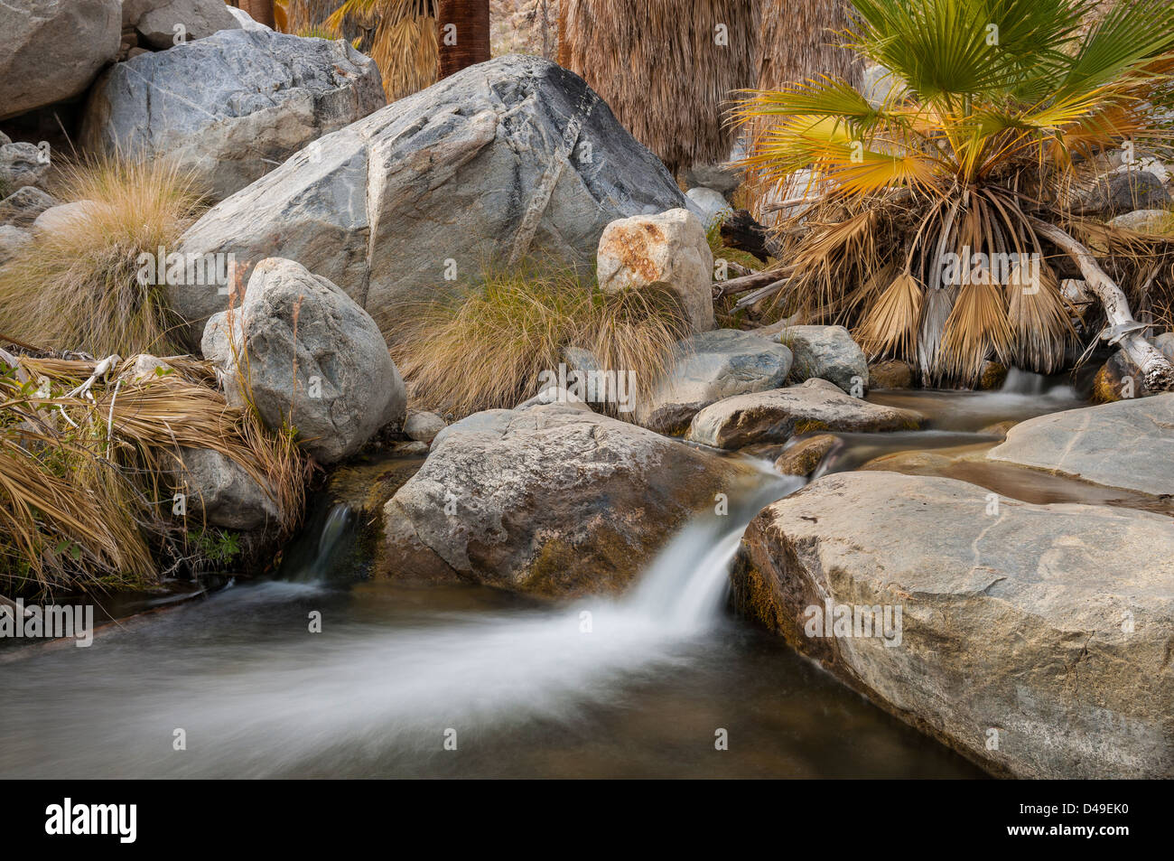 Creek in Andreas Canyon, one of the Indian Canyons on the Agua Caliente Indian Reservation near Palm Springs, California. Stock Photo