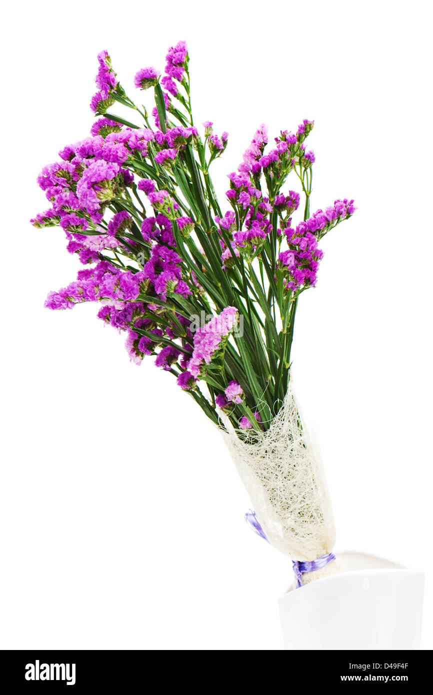 Bouquet from purple statice flowers arrangement centerpiece in vase isolated on white background. Stock Photo