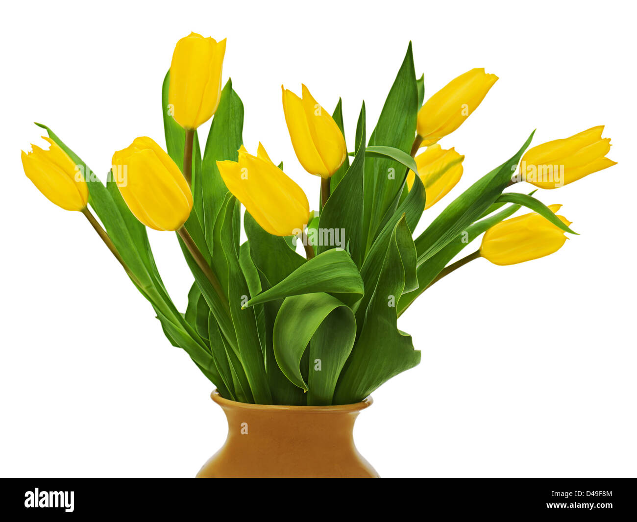 Flower bouquet from yellow tulips in brown vase isolated on white ...