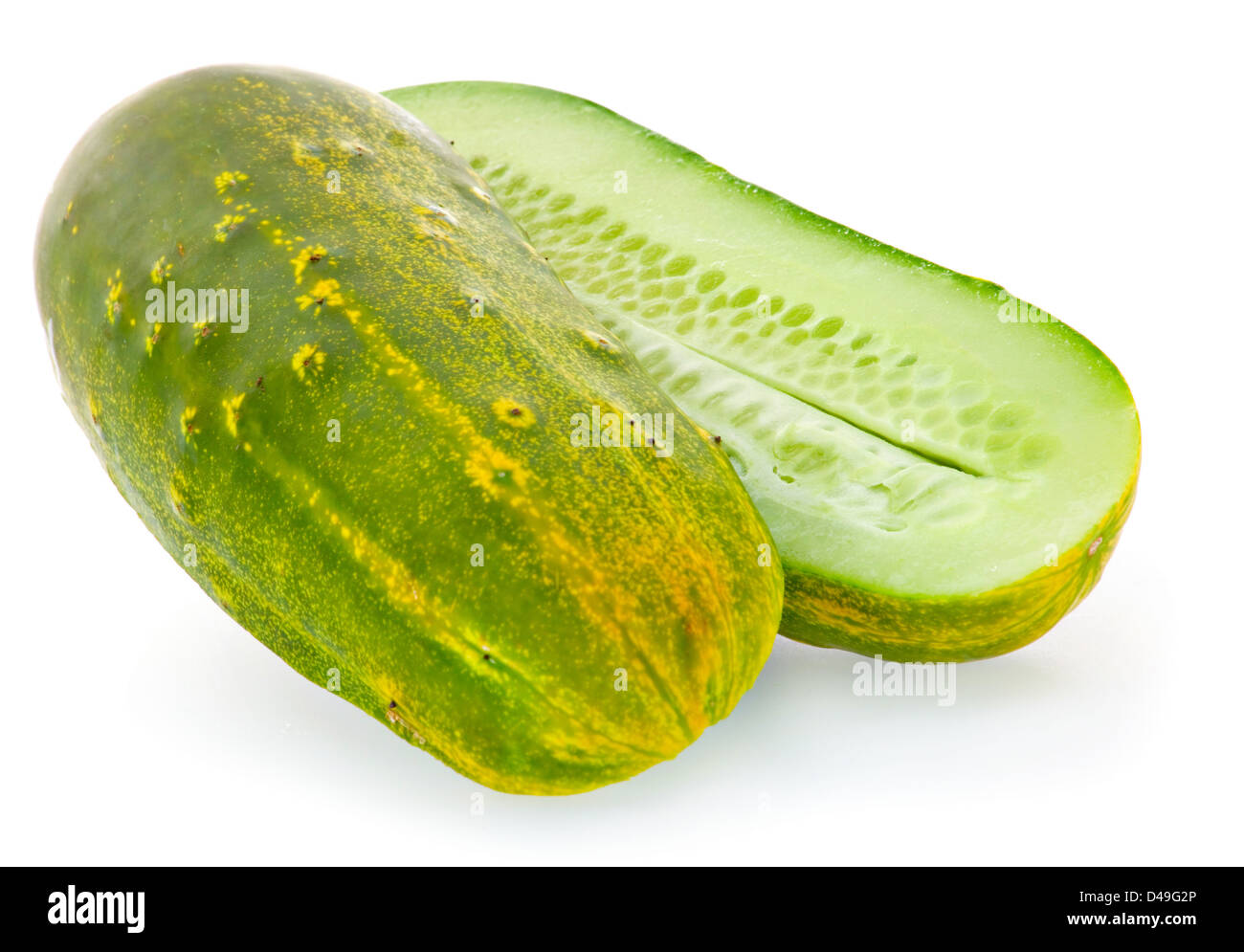 Giant cucumber overripe isolated on white background Stock Photo