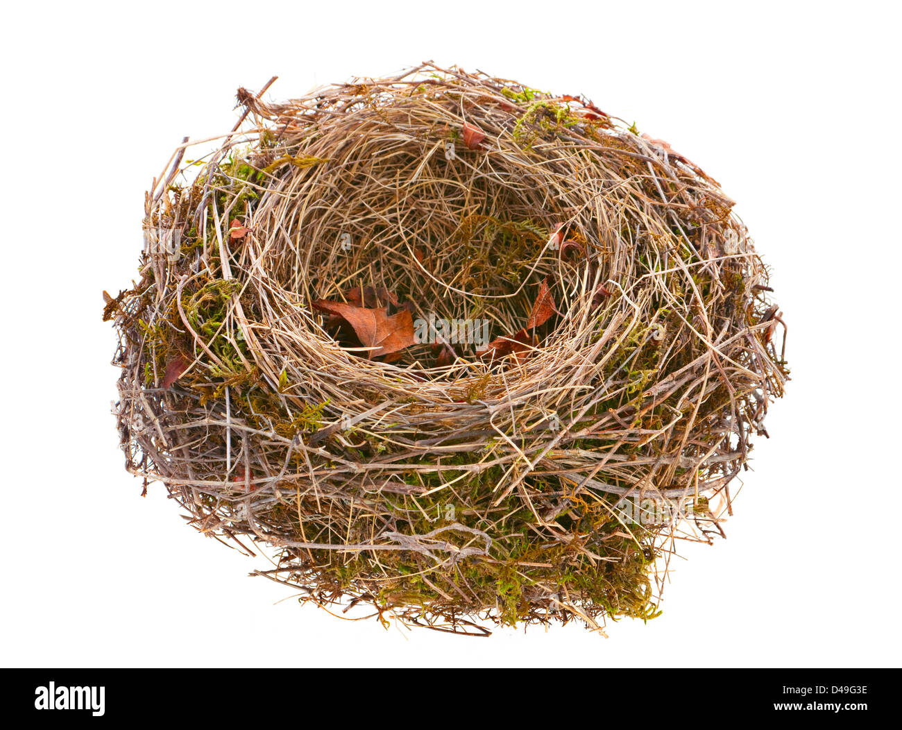 Bird nest empty isolated on white Stock Photo Alamy