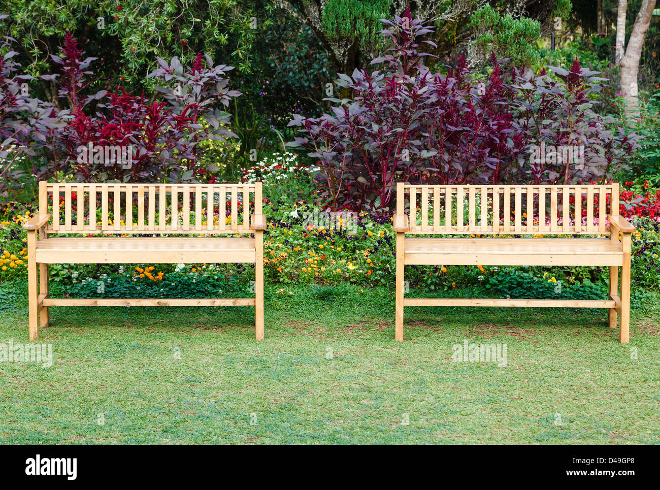 Two wooden chairs in the park, front view Stock Photo - Alamy