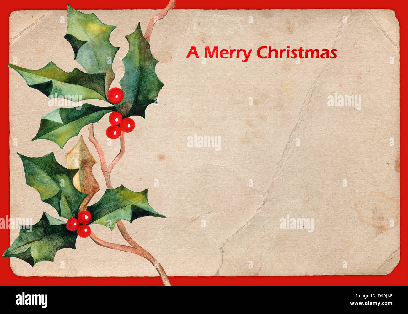 Background with Christmas holly Stock Photo - Alamy