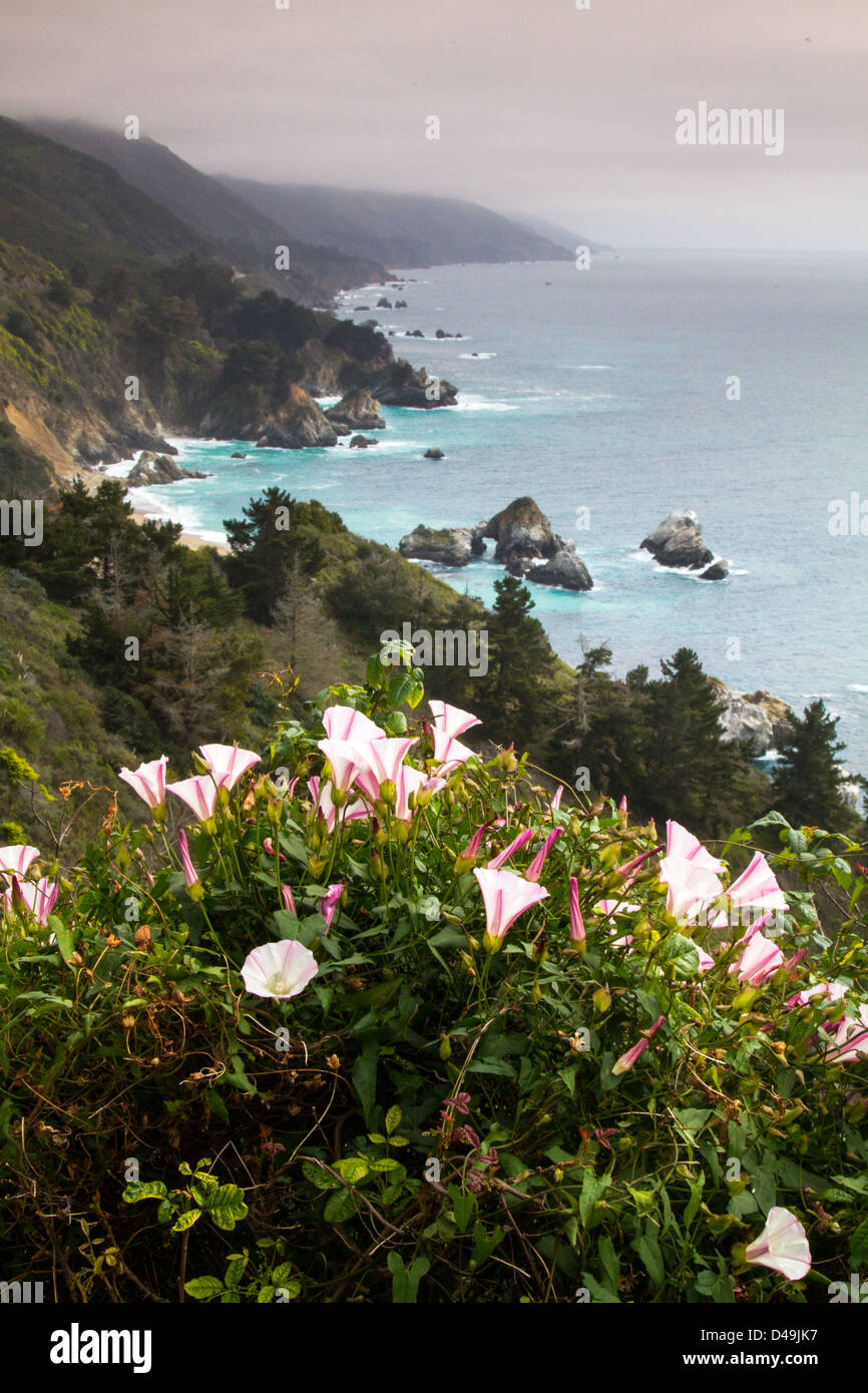 South of Monterey Peninsula is the lovely Big Sur Coastline, a travel