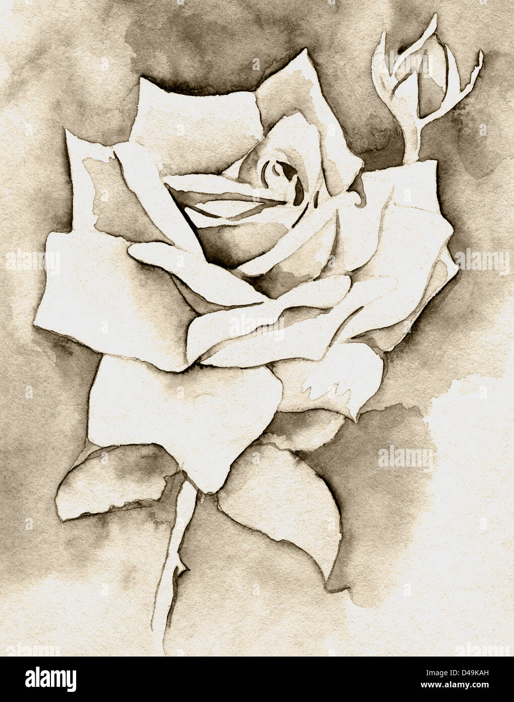 Art vintage background with a rose Stock Photo - Alamy