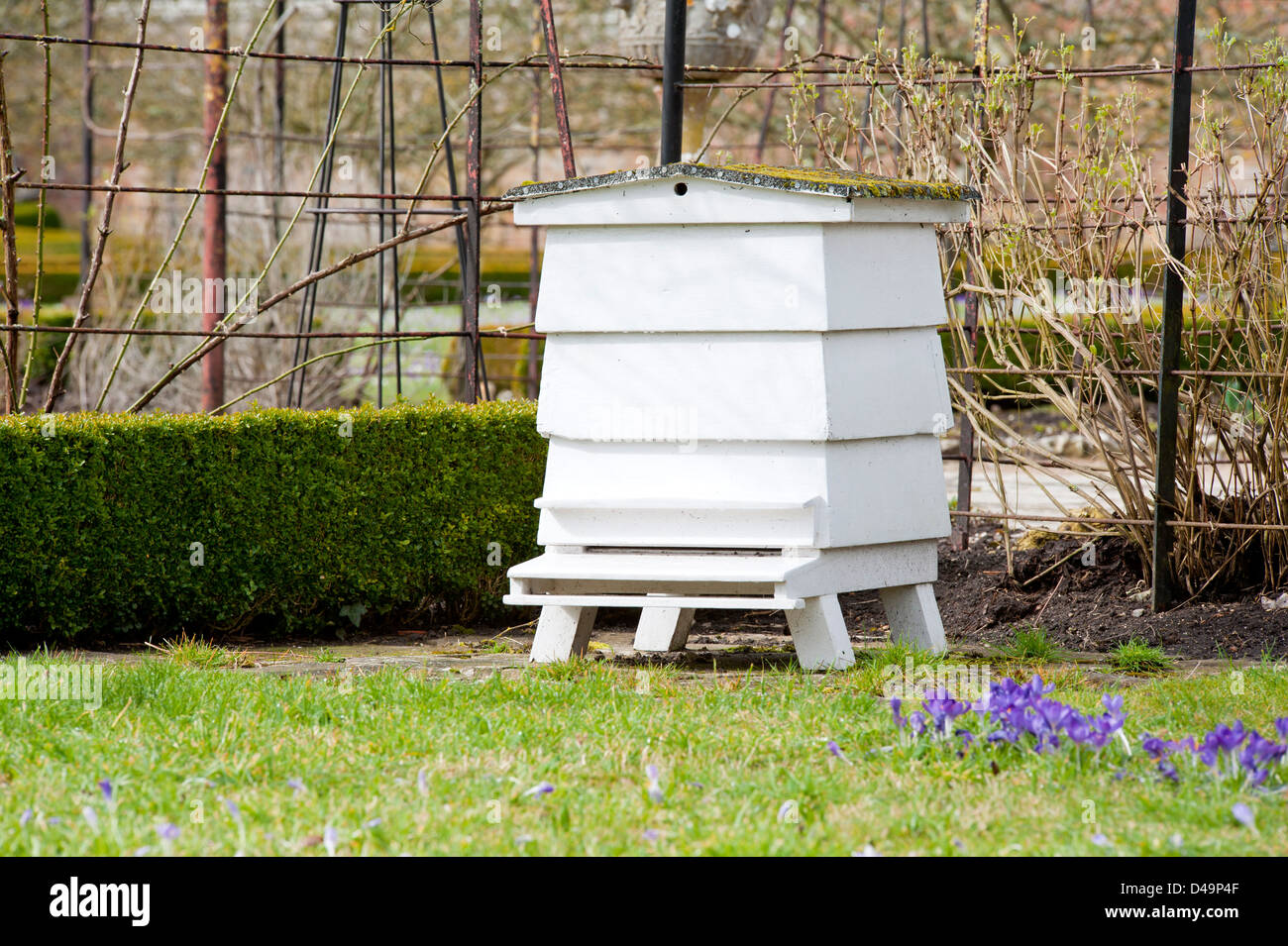 white painted wooden Bee hive in garden Stock Photo