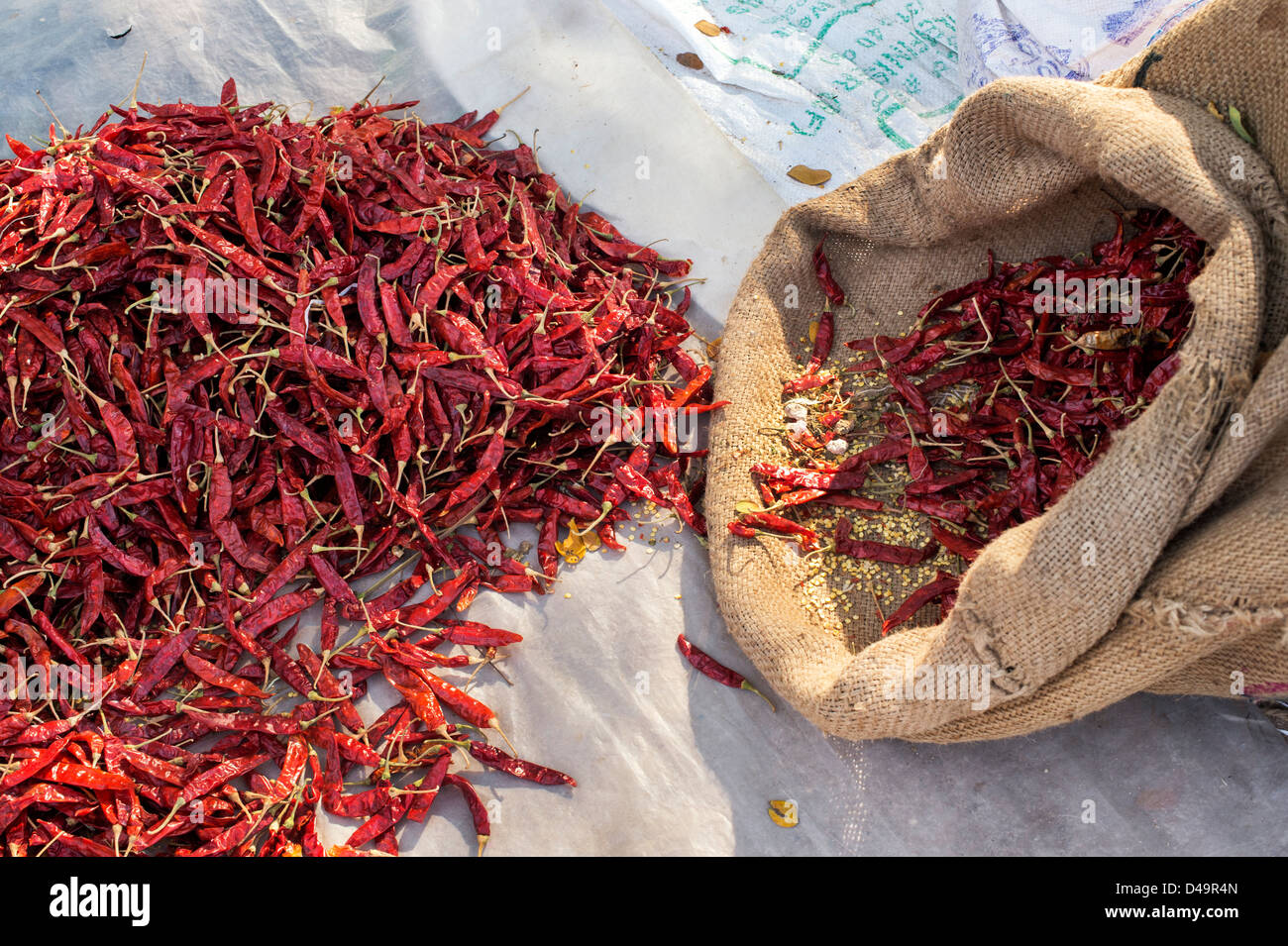 Dried red chillis at an Indian market. Andhra Pradesh, India Stock Photo