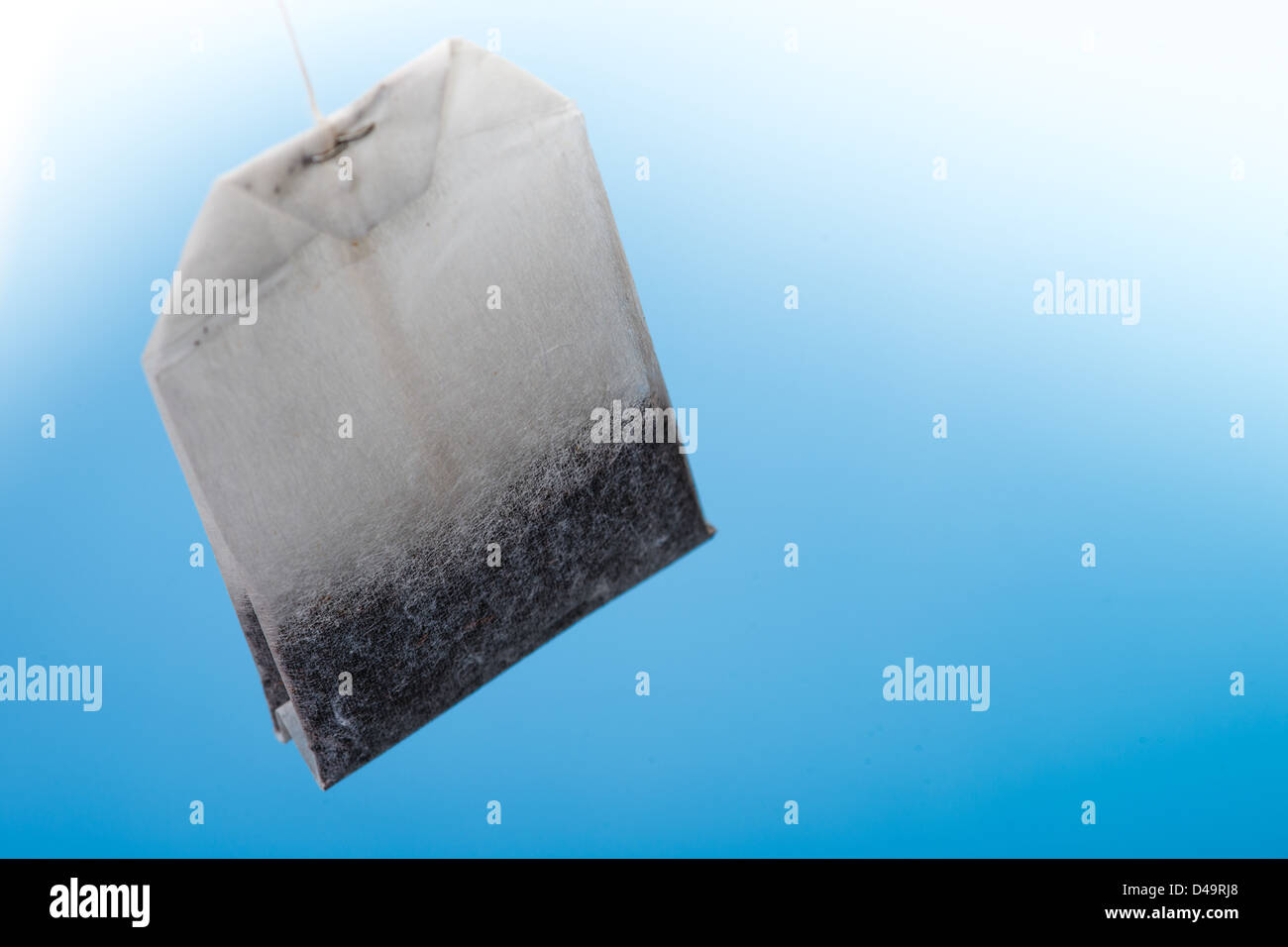 Unused Teabag cutout  over a blue background Stock Photo