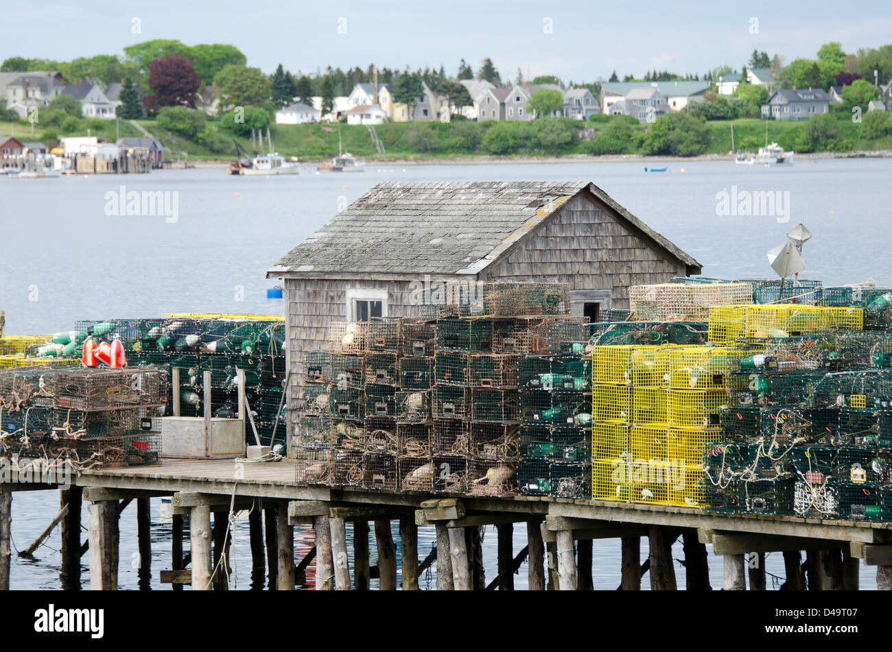 A fishing shack on Beals Island, Maine is walled in by piles of lobster traps. The town of Jonesport is visible across the bay. Stock Photo