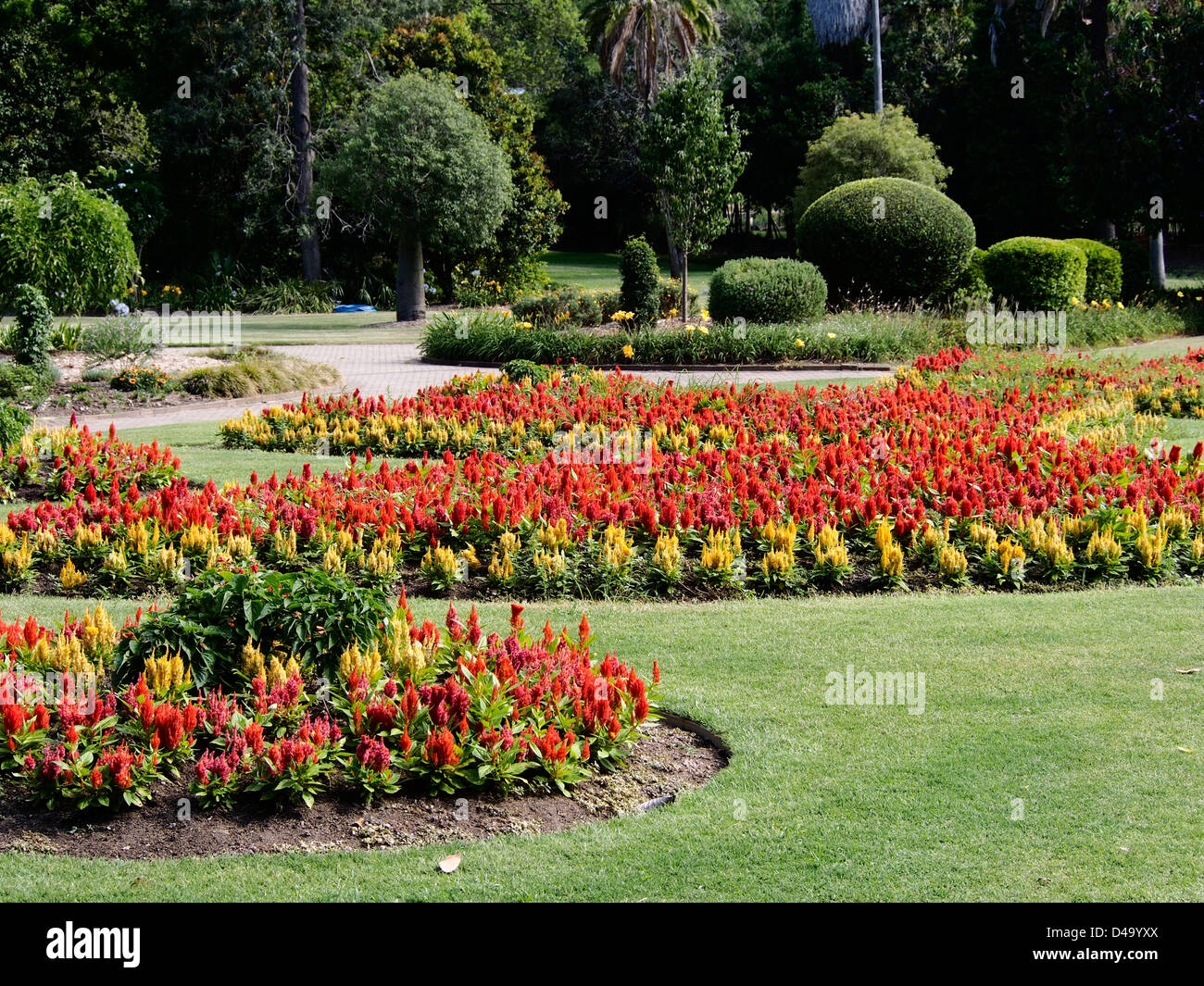VIEW OF THE CITY BOTANIC GARDENS BRISBANE QUEENSLAND AUSTRALIA Stock