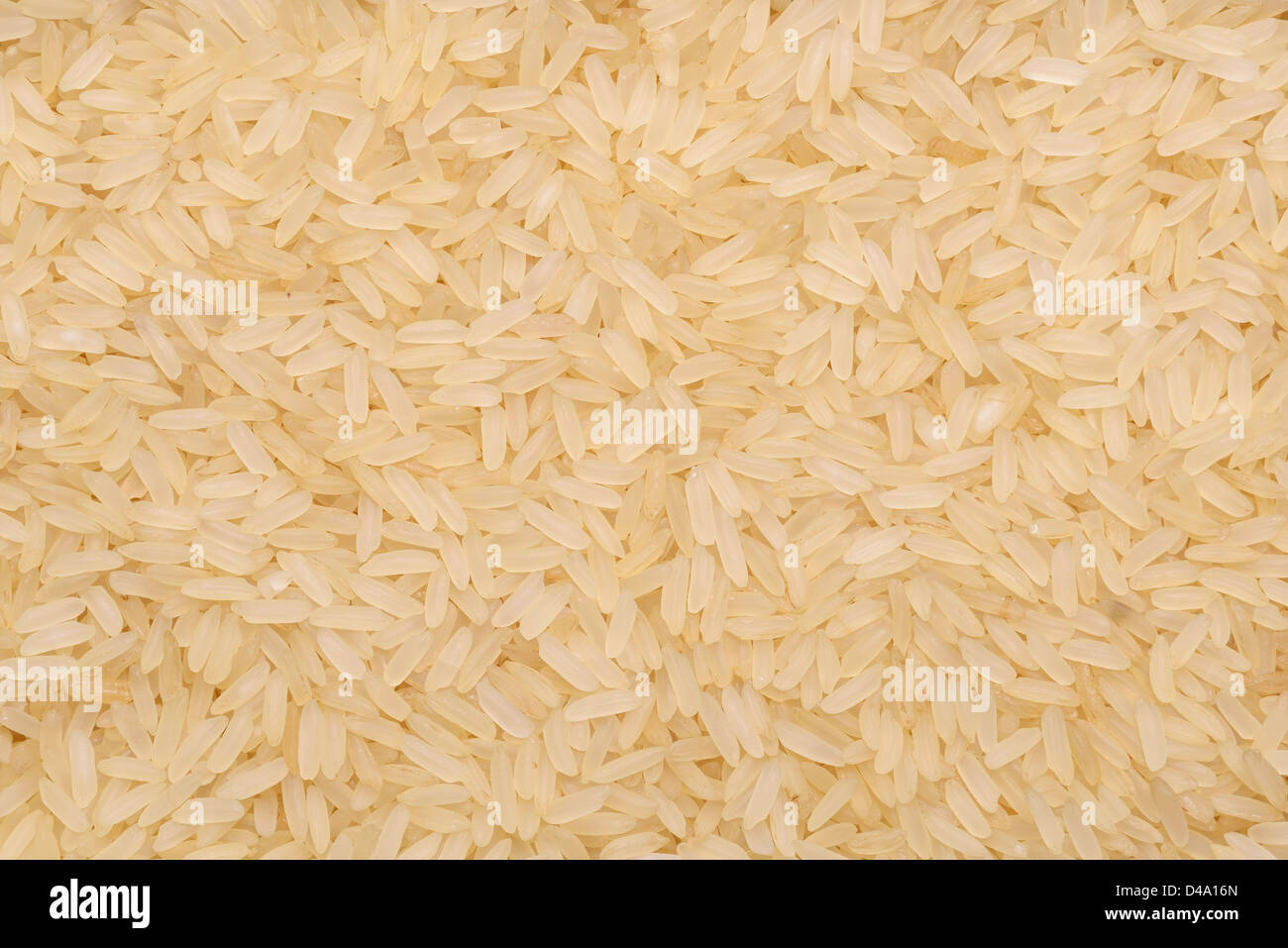 Brown rice Stock Photo