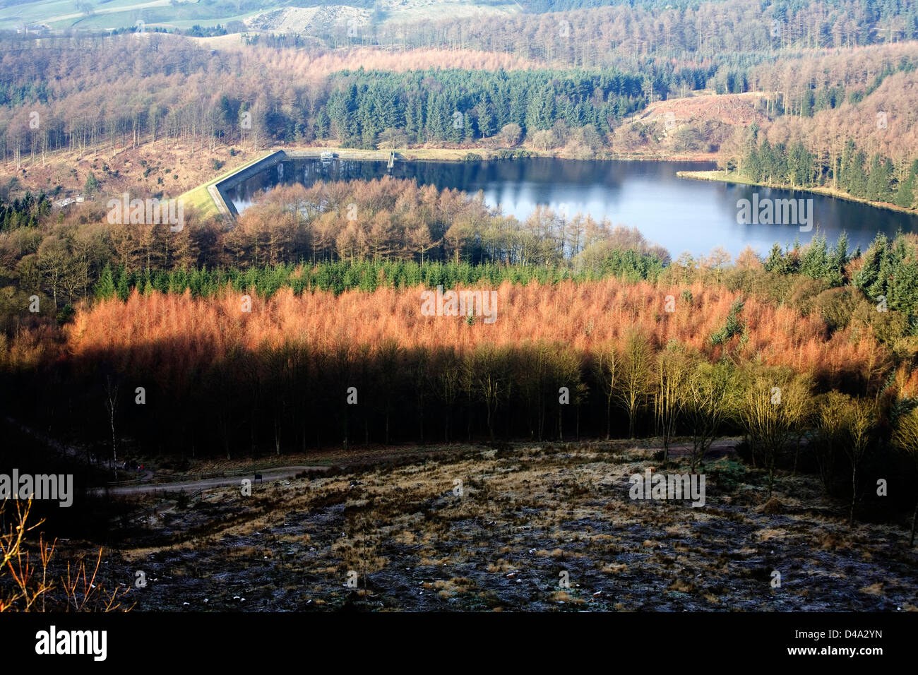 Trentabank Reservoir and The Macclesfield Forest Tegg's Nose Country