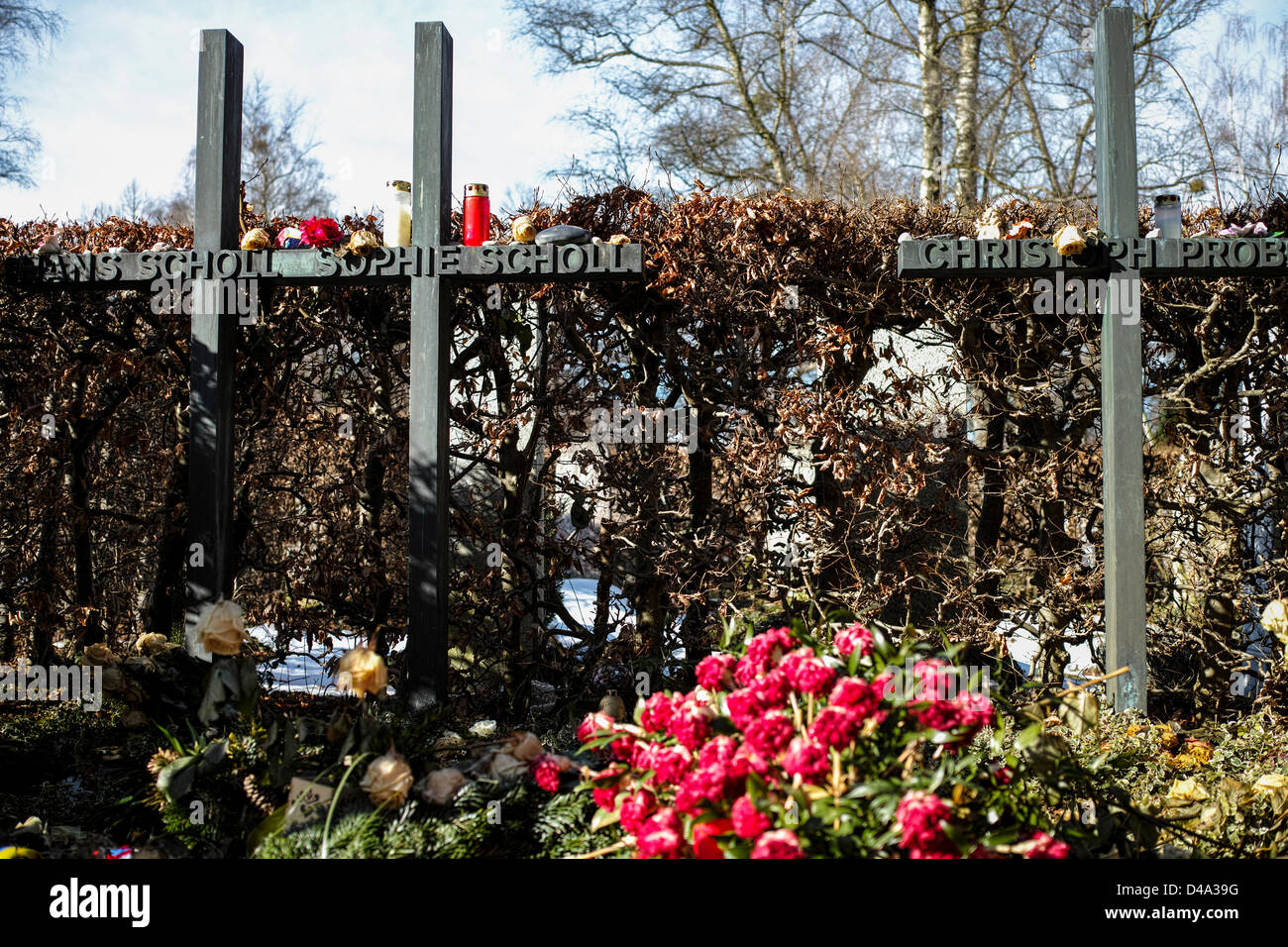 Grave of Sophie Scholl, Hans Scholl, and Christoph Probst from the White Rose resistance group in Munich. Stock Photo