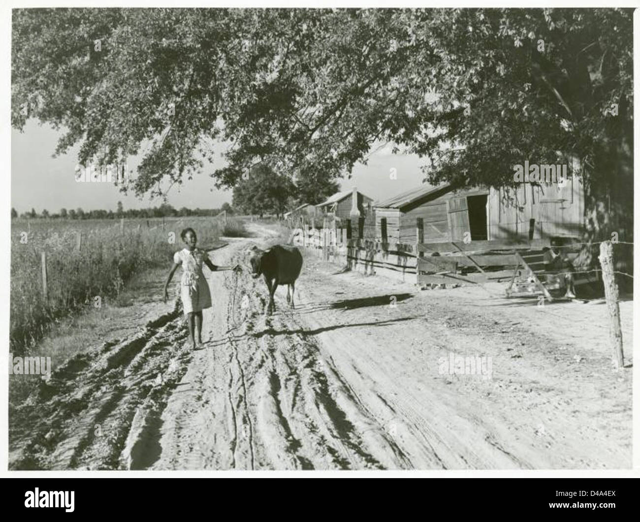 Great depression 1930s children hi-res stock photography and images - Alamy, image size:1300x1059