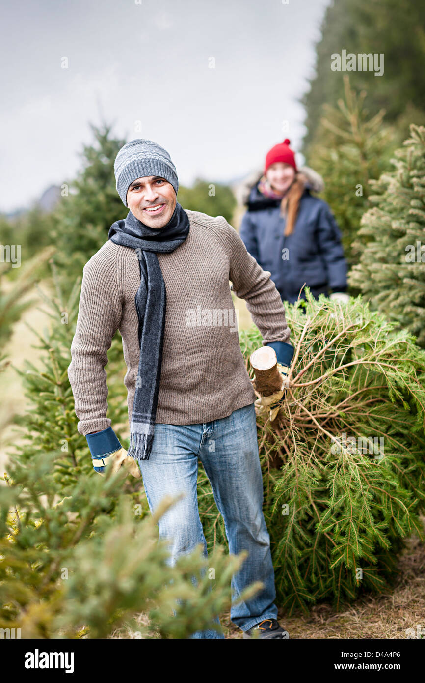 Man dragging fresh spruce at cut your own Christmas tree farm with his