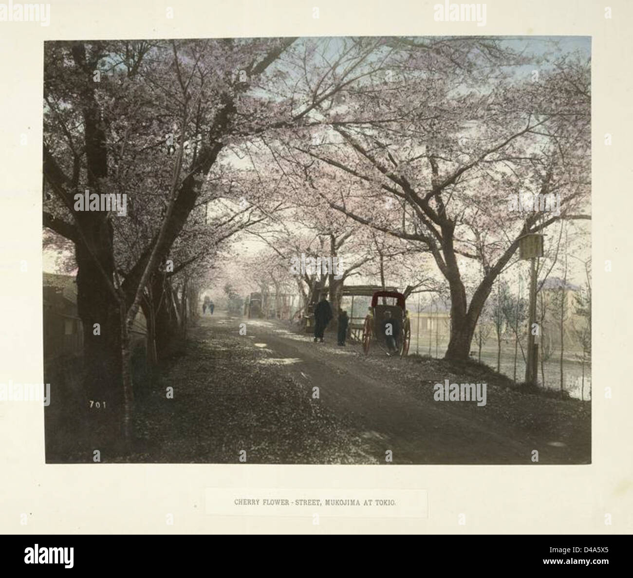 Tokyo street trees hi-res stock photography and images - Alamy