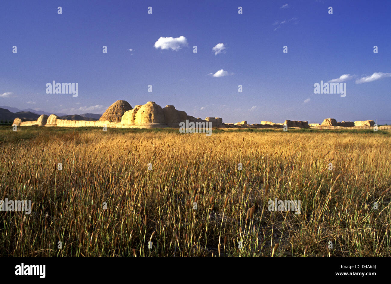 View of the ancient Western Xia tombs at the foot of the Helan Mountains in the Ningxia Hui Autonomous Region of northwestern China. The Western Xia dynasty also known as Tangut Empire, existed between 1038 and 1227 Stock Photo