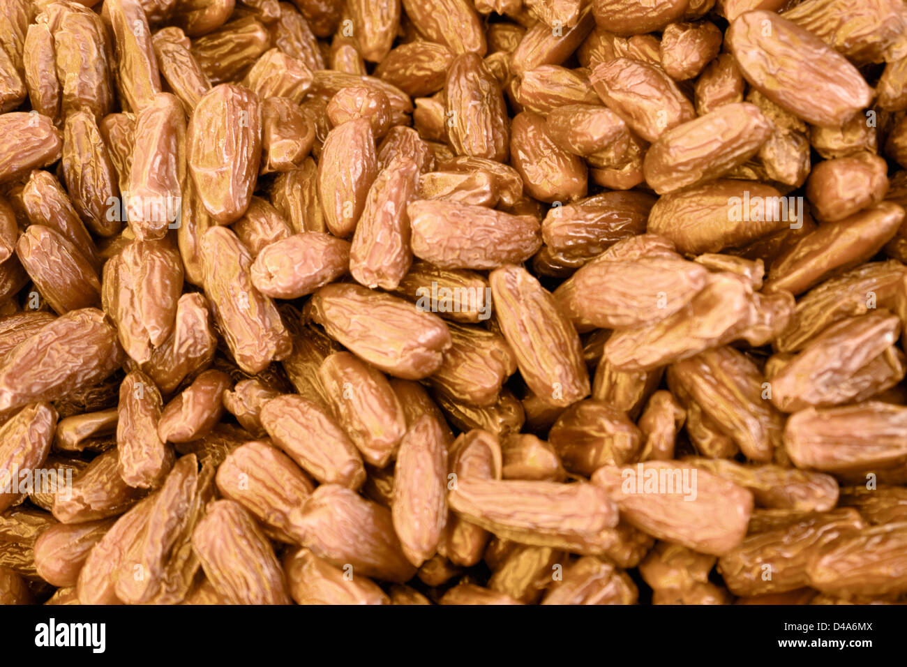 abstract full frame background with lots of dried dates Stock Photo