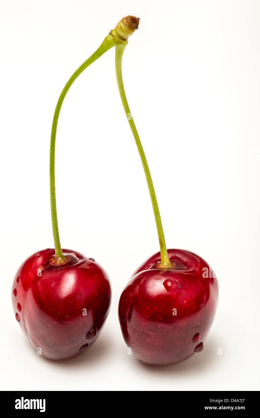 Wet Twin Cherries Stock Photo