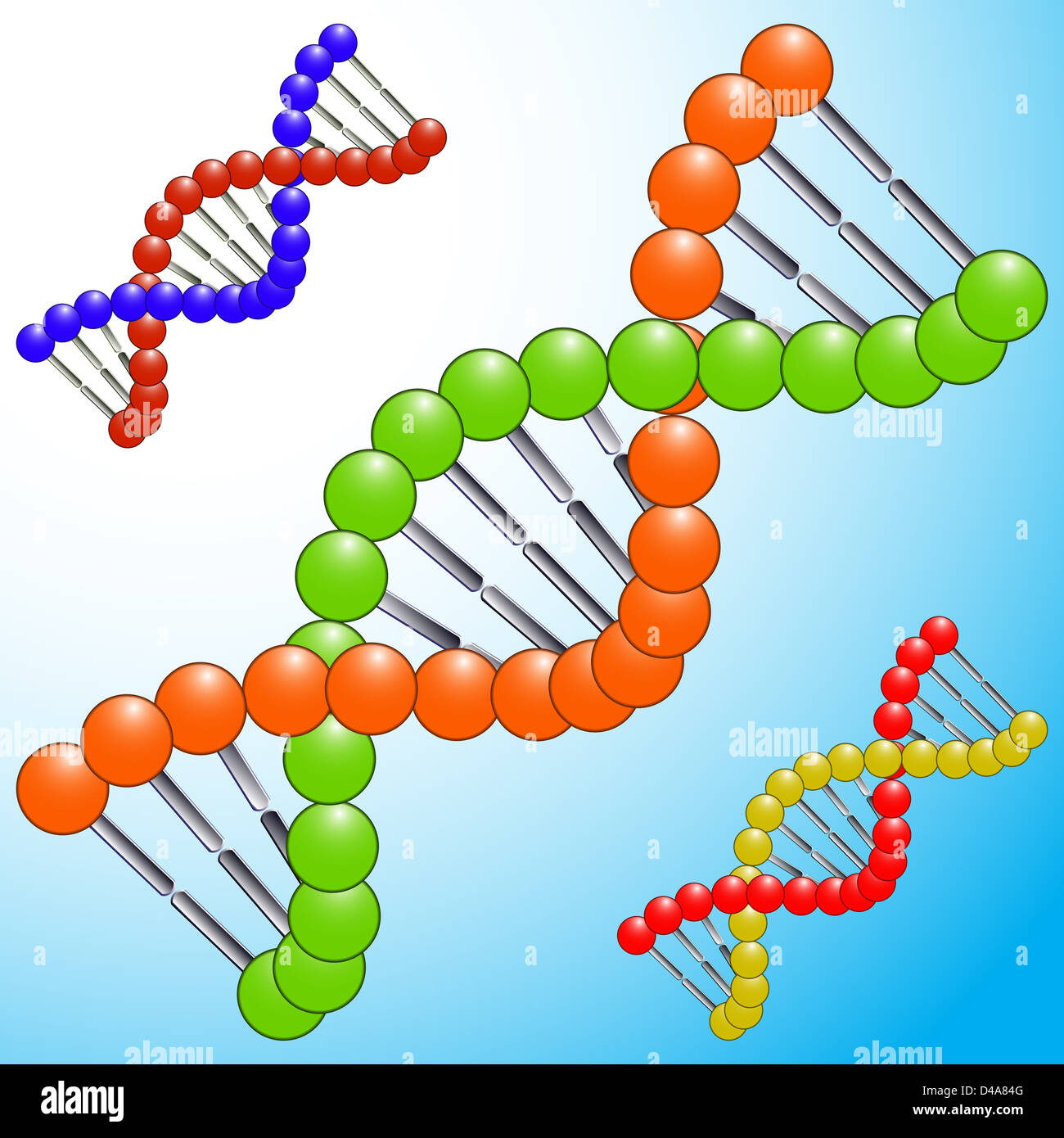 Human evolution sequence hi-res stock photography and images - Alamy