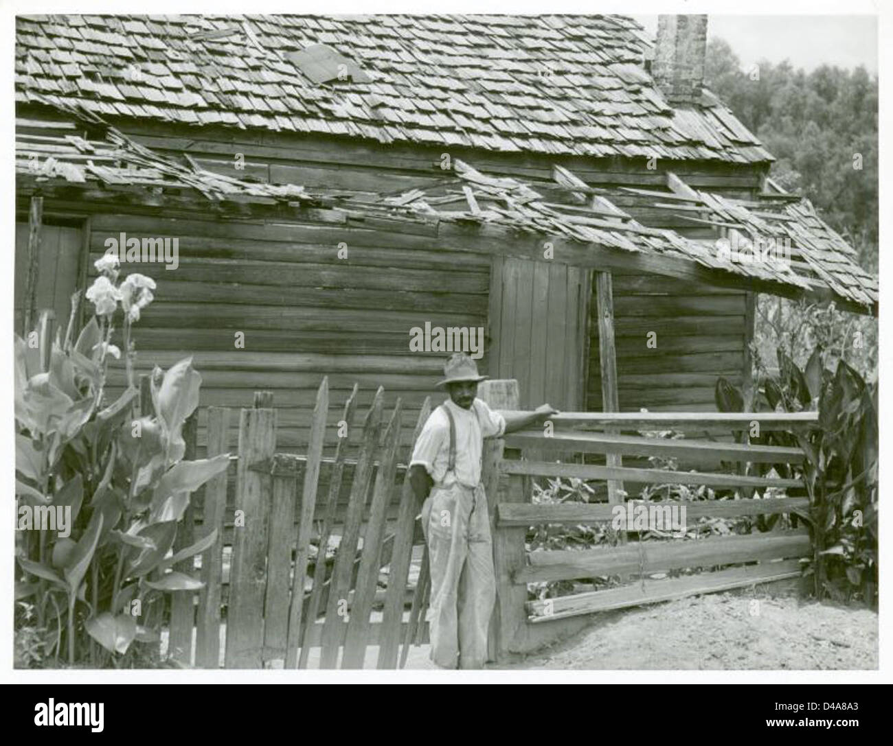 Rodney, Mississippi, Aug. 1940 Stock Photo Alamy