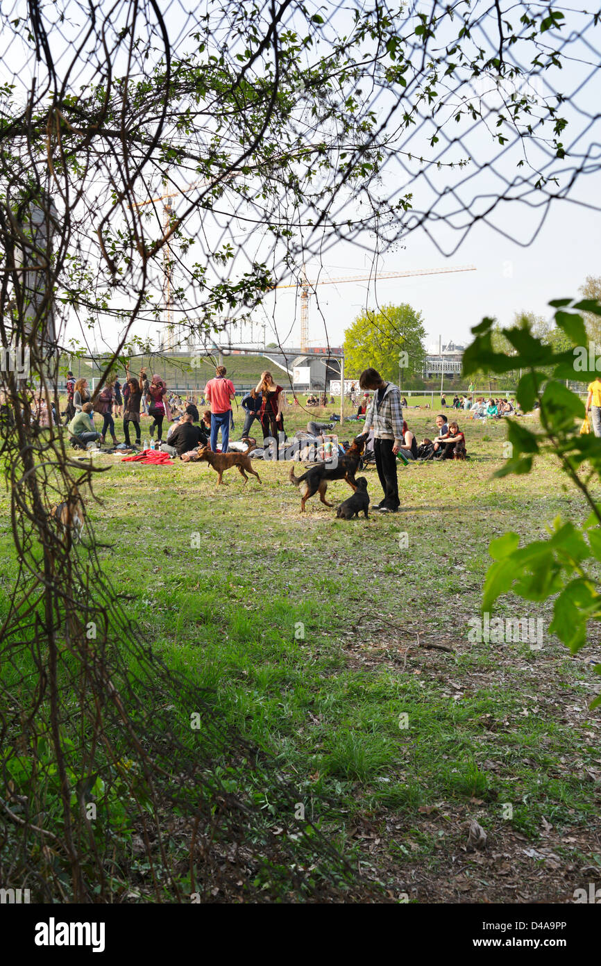 Berlin, Germany, young people having a party on Lake Rummelsburg Stock Photo