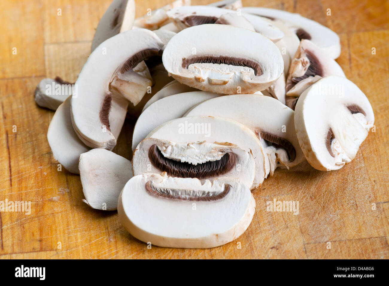 edible mushroom - button mushroom - champignon Stock Photo