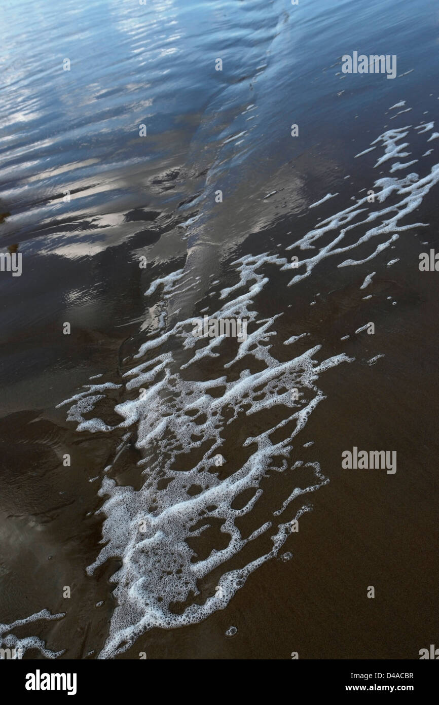 abstract pollution theme showing the edge of the water with dirty foam and dark sand Stock Photo