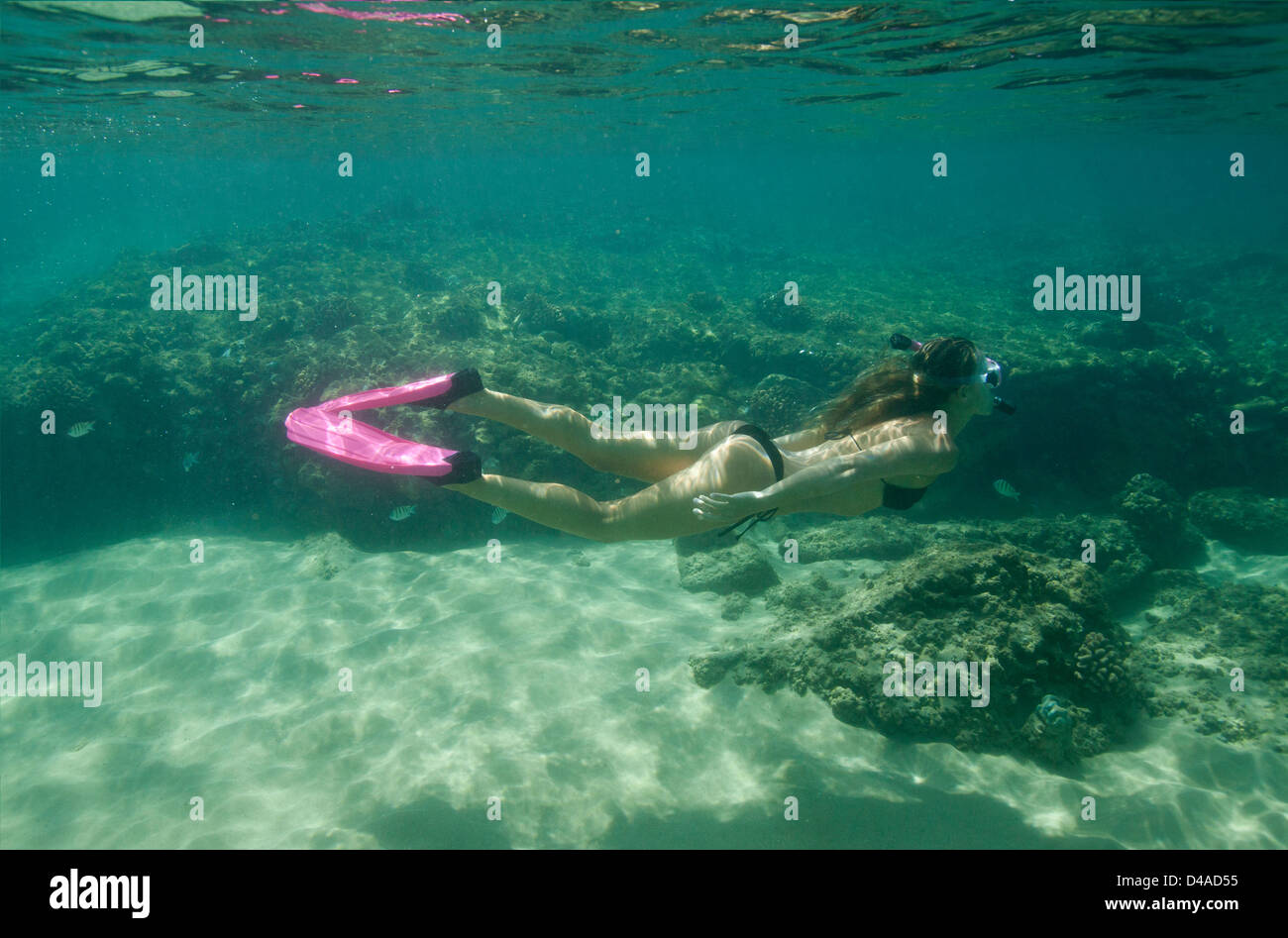 A healthy, fit woman snorkels at Napili Bay, Maui, Hawaii Stock Photo