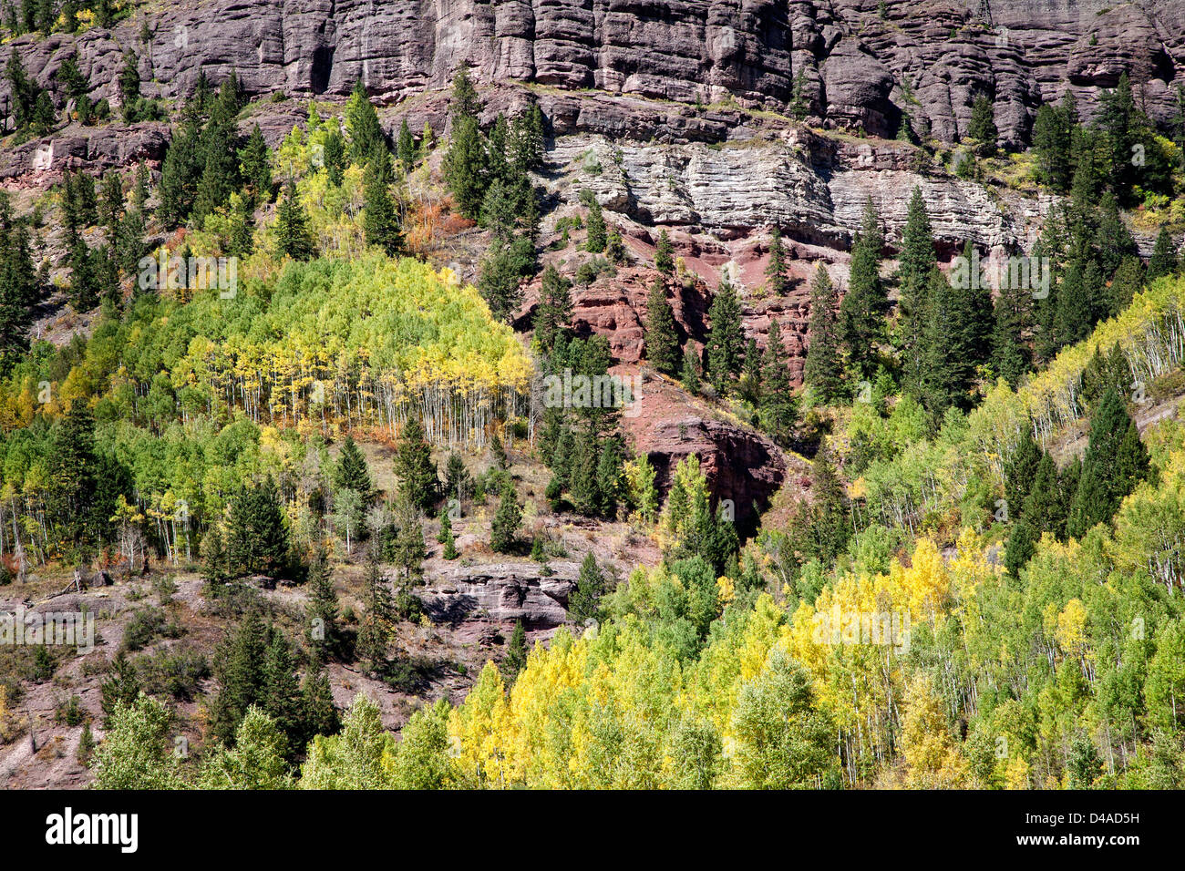 Fall color in Telluride, Colorado Stock Photo