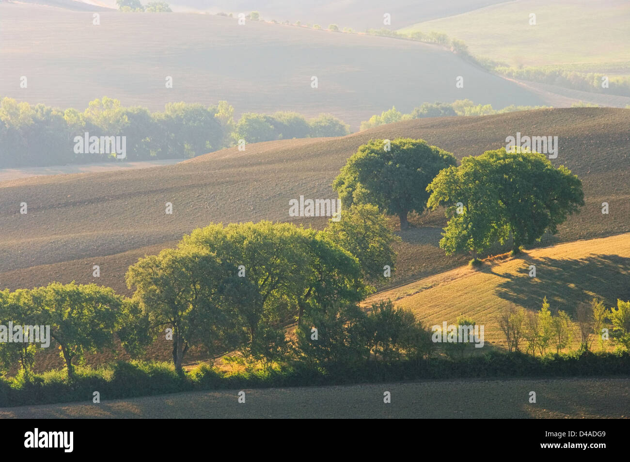 Toskana Huegel im Herbst - Tuscany hills in fall 06 Stock Photo