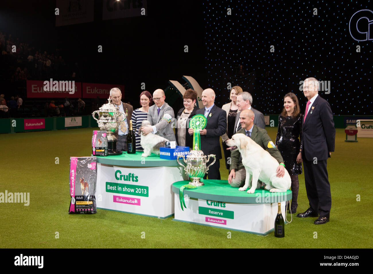 Birmingham, UK. 10th March 2013. Crufts international dog show held at the National Exhibition Centre, Birmingham on 10 March 2013. Crufts is the worlds premier  dog show. Credit:  Paul Hastie / Alamy Live News Stock Photo