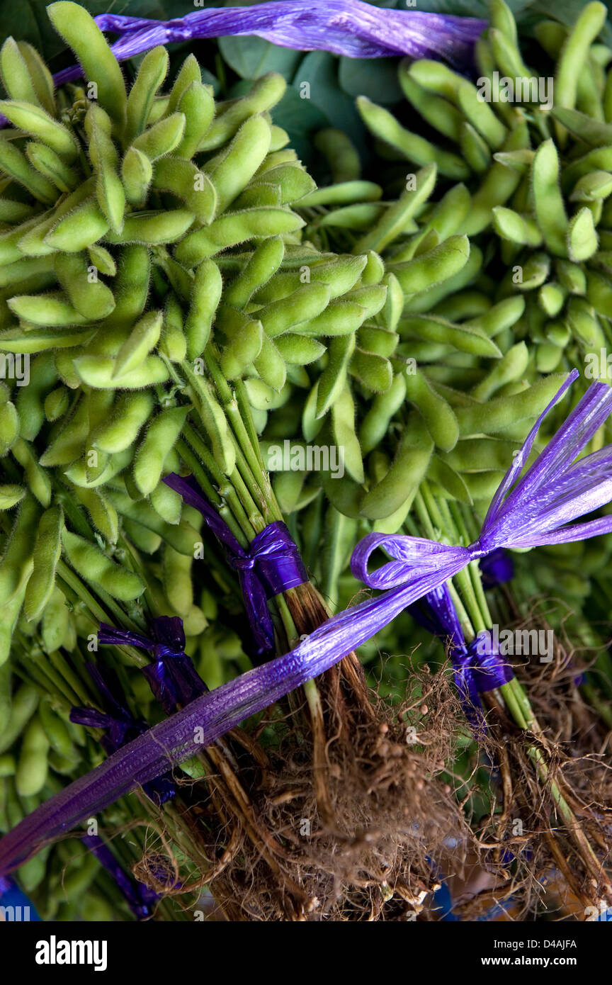 Fresh 'edamame' (soy beans) for sale at a market near Tsukiji Wholesale Fish Market in Tokyo, Japan. Stock Photo